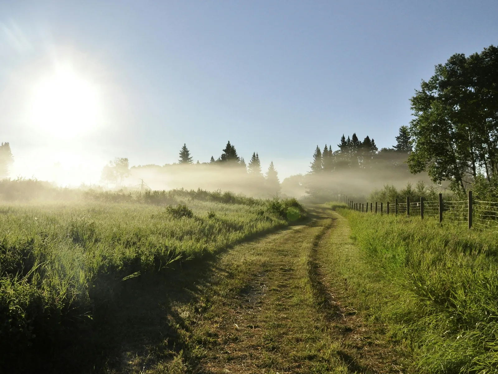 Residential and Commercial Inspection in Sunny Side, Sunny Side Home Inspections, Sunny Side Home Inspector, a home pro inspector in Sunny Side, FAA Certified Drone Inspections in Sunny Side, Sewer Scope Inspections in Sunny Side, FAQs