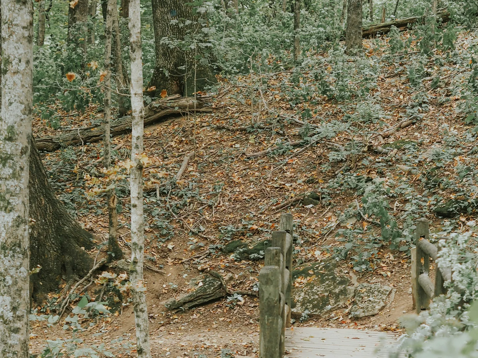 Home Inspectors in Hiddenite, NC, Alexander, Iredell, 28636 Home Inspections, Certified Home Inspectors, Residential and Commercial Home Inspections in Hiddenite, NC, Alexander, Iredell, 28636