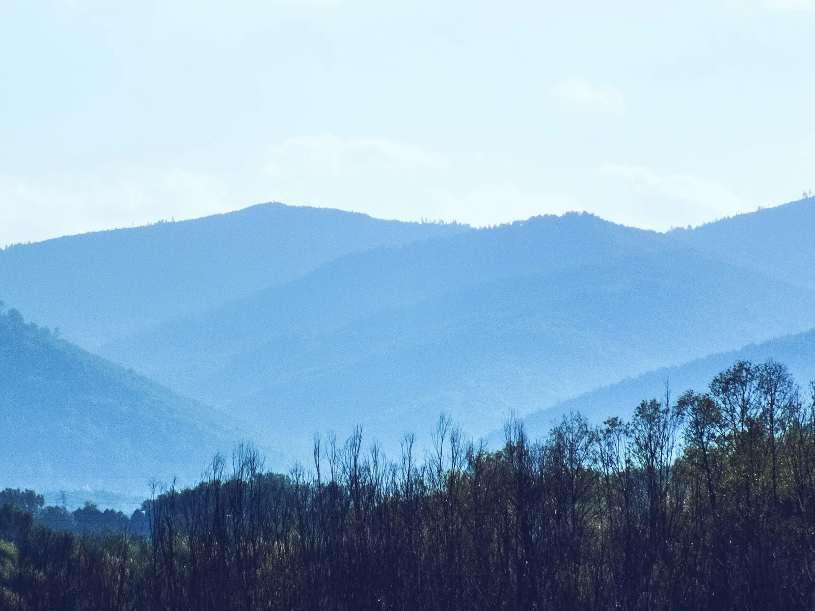 LunsPro’s certified inspectors are available 7 days a week to serve Drexel, NC and surrounding areas in Burke County. We proudly perform property inspections in nearby communities such as Morganton, Valdese, Rutherford College, and Hildebran.  Our Drexel-area professional home inspections include a comprehensive structural and mechanical evaluation of resale homes, covering the foundation, interior, exterior, roof, attic, plumbing, electrical, HVAC, water heater, and more. We conduct highly accurate 48-hour radon testing in Drexel. Additionally, termite, pest, and rodent evaluations are performed by a separate licensed pest inspector. We also offer mold testing, stucco inspection, and sewer line evaluations in the Drexel area. Our services extend beyond residential properties; we also specialize in new construction and commercial property inspections throughout Drexel and nearby areas.