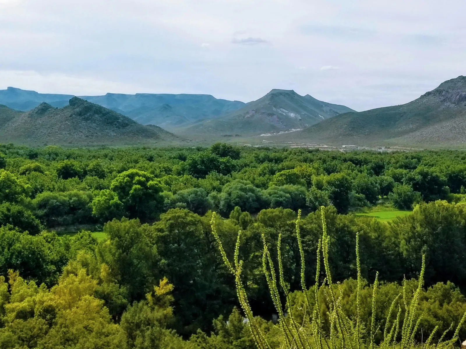 Home Inspectors in Aragon, GA, Polk County, 30104 Home Inspections, Certified Home Inspectors, Residential and Commercial Home Inspections in Aragon, GA, Polk County, 30104