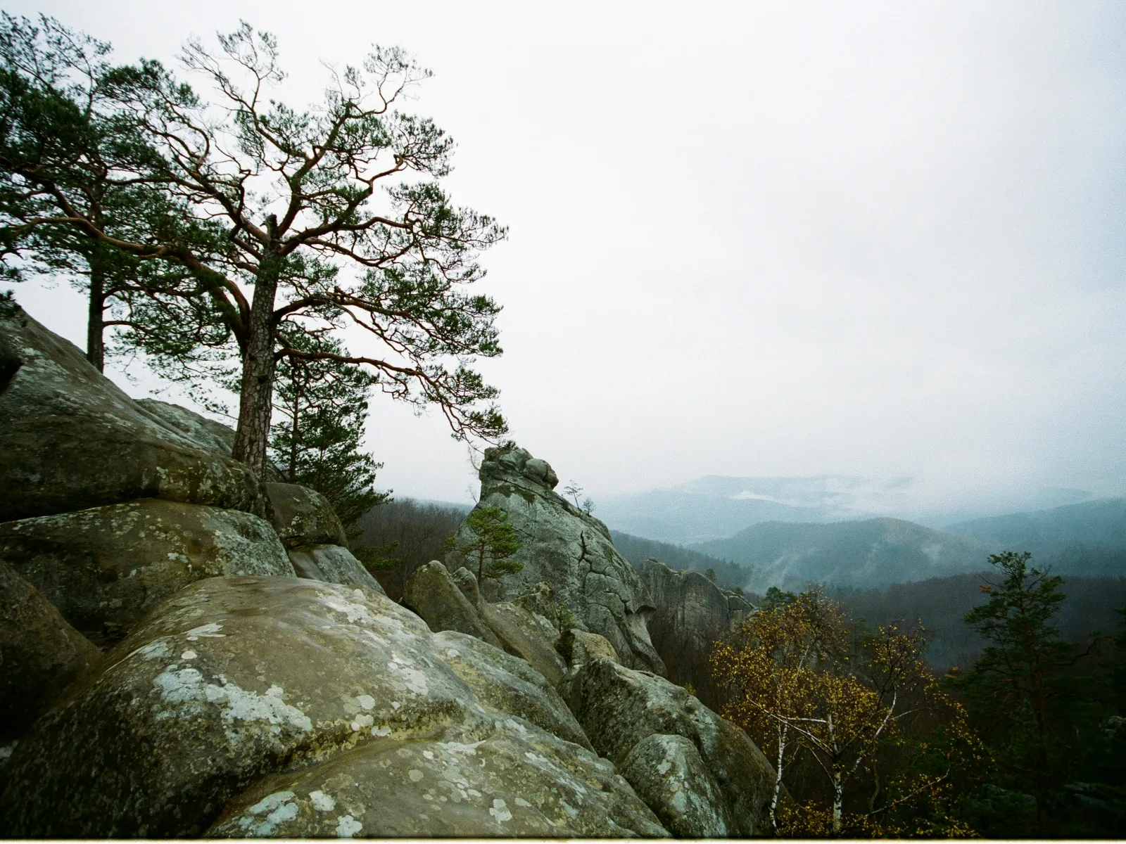 Home Inspectors in Kings Mountain, NC, Cleveland, Gaston, 28086 Home Inspections, Certified Home Inspectors, Residential and Commercial Home Inspections in Kings Mountain, NC, Cleveland, Gaston, 28086