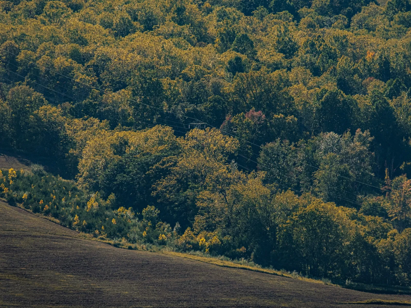 Home Inspectors in Jonesville, SC, Union, 29353 Home Inspections, Certified Home Inspectors, Residential and Commercial Home Inspections in Jonesville, SC, Union, 29353