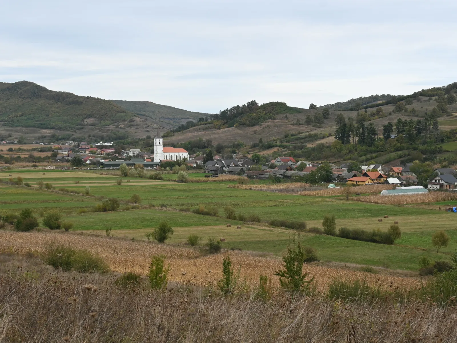 Home Inspectors in Furman, SC, Hampton, 29921 Home Inspections, Certified Home Inspectors, Residential and Commercial Home Inspections in Furman, SC, Hampton, 29921