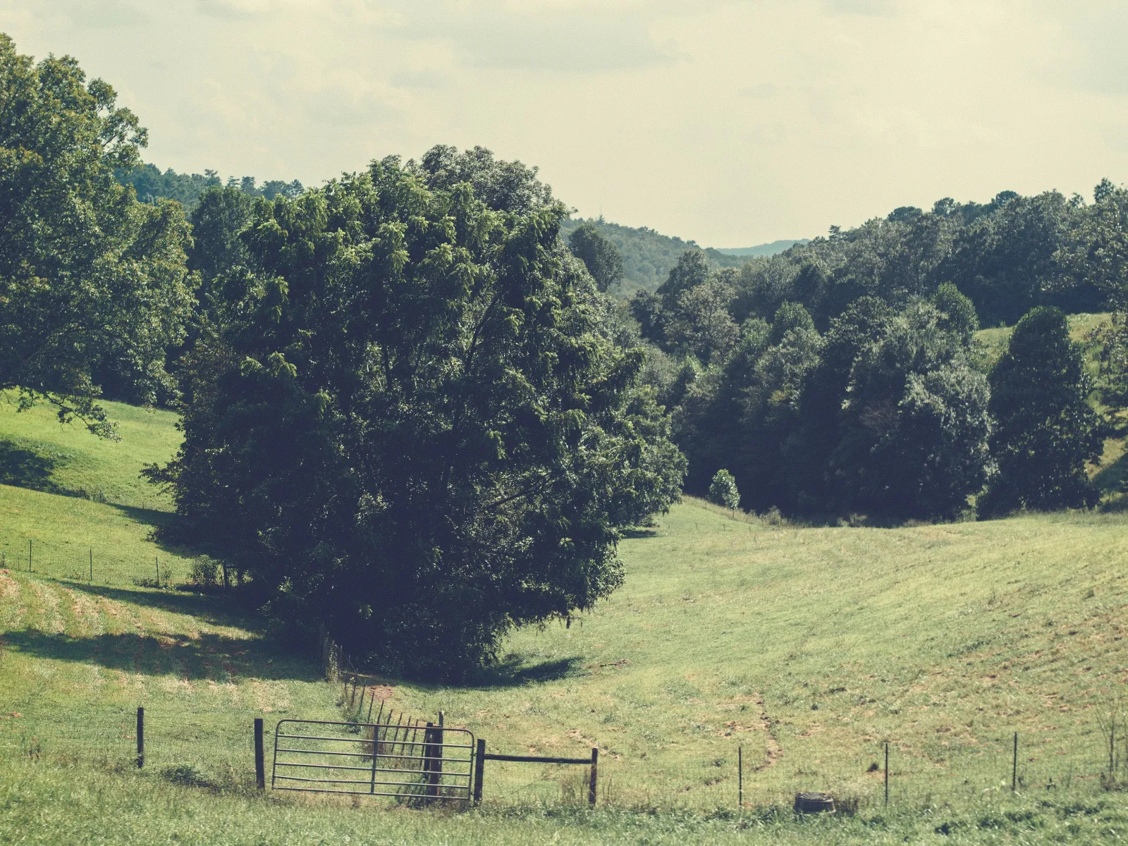 Home Inspectors in Orme, TN, Marion County, 37380 Home Inspections, Certified Home Inspectors, Residential and Commercial Home Inspections in Orme, TN, Marion County, 37380