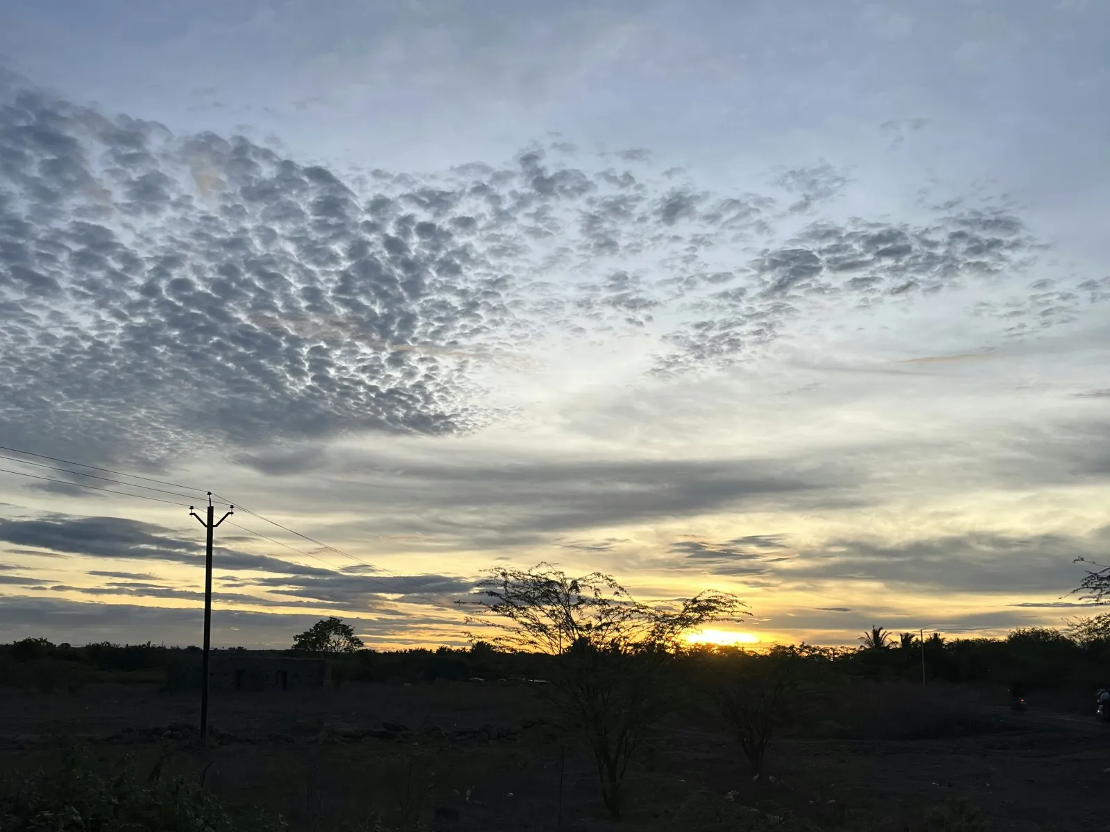 Home Inspectors in Nunez, GA, Emanuel County, 30464 Home Inspections, Certified Home Inspectors, Residential and Commercial Home Inspections in Nunez, GA, Emanuel County, 30464