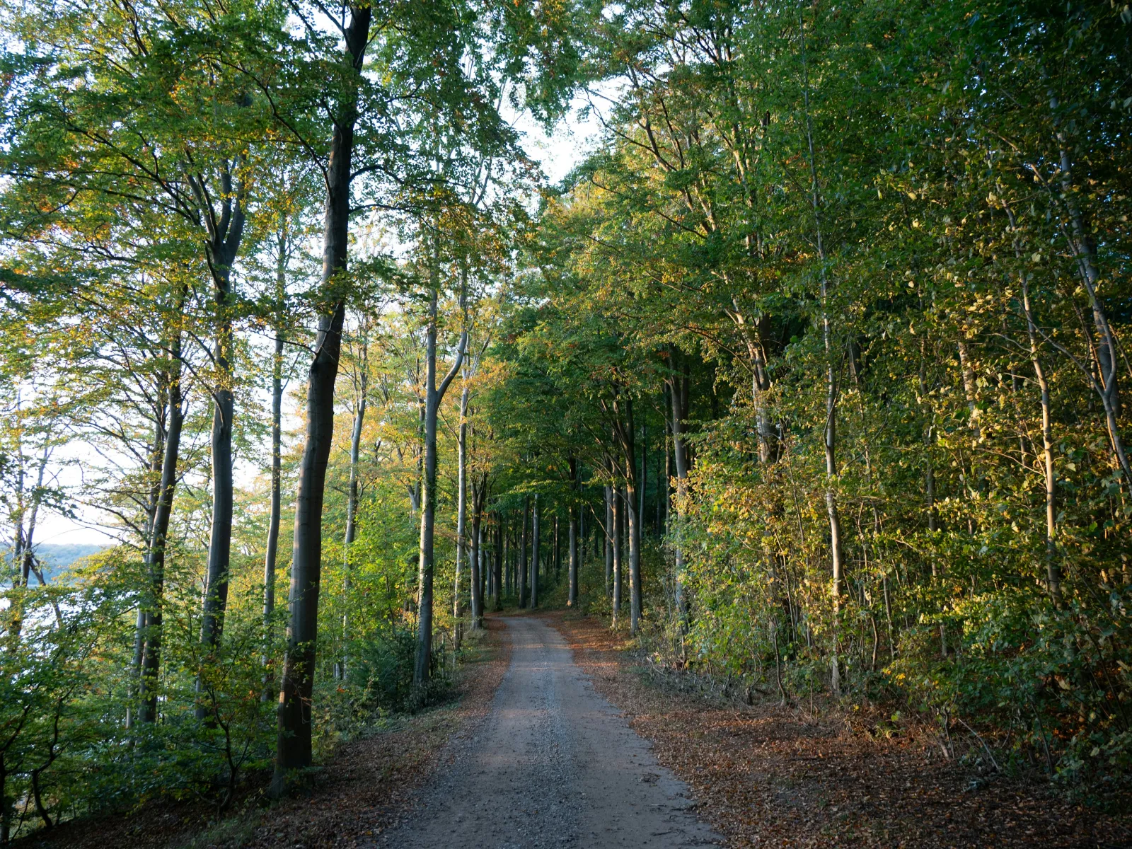 Home Inspectors in Graham, NC, Alamance, 27253 Home Inspections, Certified Home Inspectors, Residential and Commercial Home Inspections in Graham, NC, Alamance, 27253