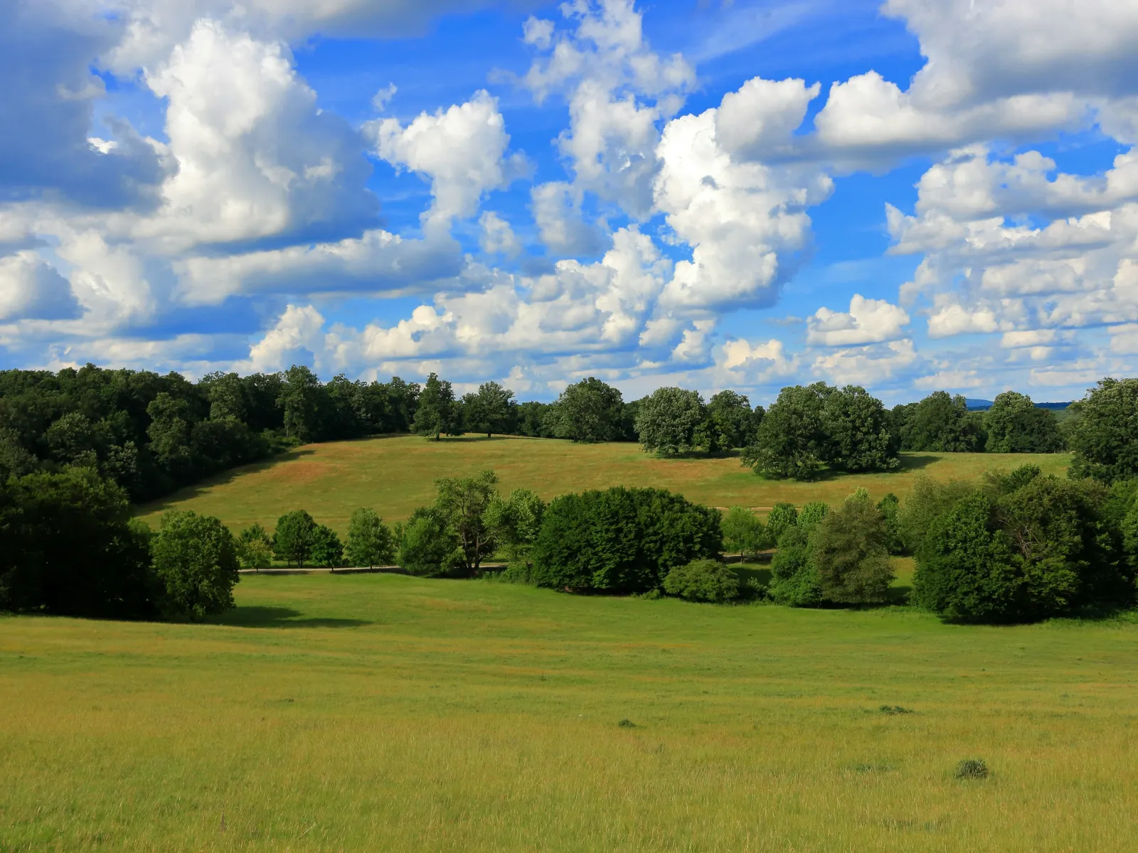 Home Inspectors in Clinton, SC, Laurens, 29325 Home Inspections, Certified Home Inspectors, Residential and Commercial Home Inspections in Clinton, SC, Laurens, 29325