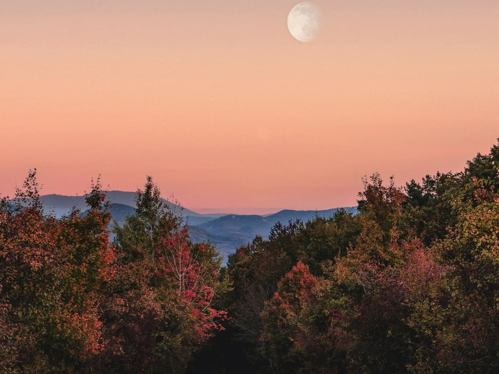 Home Inspectors in Whiteside, TN, Marion County, 37396 Home Inspections, Certified Home Inspectors, Residential and Commercial Home Inspections in Whiteside, TN, Marion County, 37396