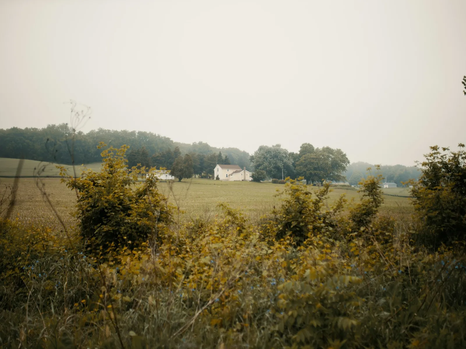 Home Inspectors in Rhodhiss, NC, Caldwell, 28667 Home Inspections, Certified Home Inspectors, Residential and Commercial Home Inspections in Rhodhiss, NC, Caldwell, 28667