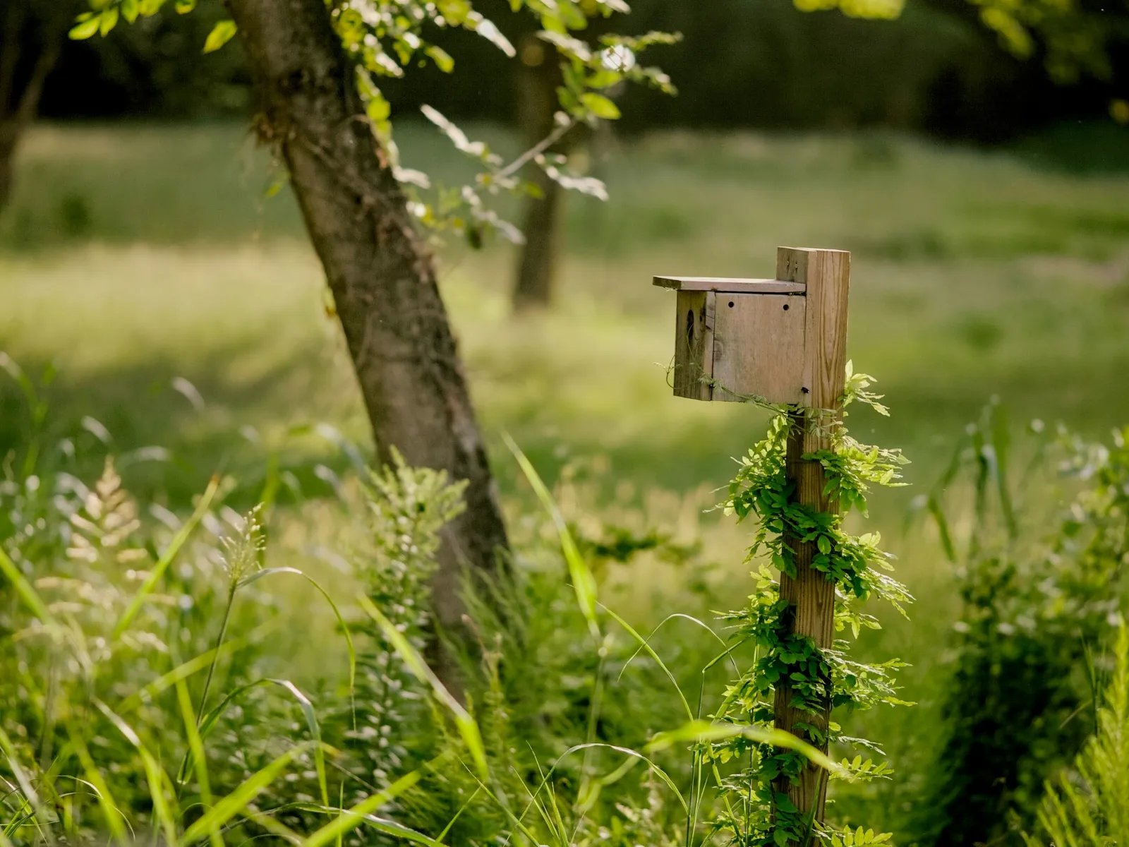 Residential and Commercial Inspection in Porterdale, Porterdale Home Inspections, Porterdale Home Inspector, a home pro inspector in Porterdale, FAA Certified Drone Inspections in Porterdale, Sewer Scope Inspections in Porterdale, FAQs