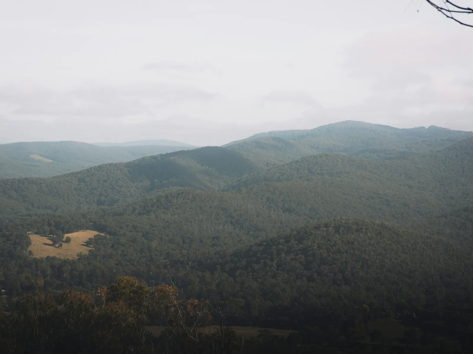 Home Inspectors in Landrum, SC, Greenville, 29356 Home Inspections, Certified Home Inspectors, Residential and Commercial Home Inspections in Landrum, SC, Greenville, 29356