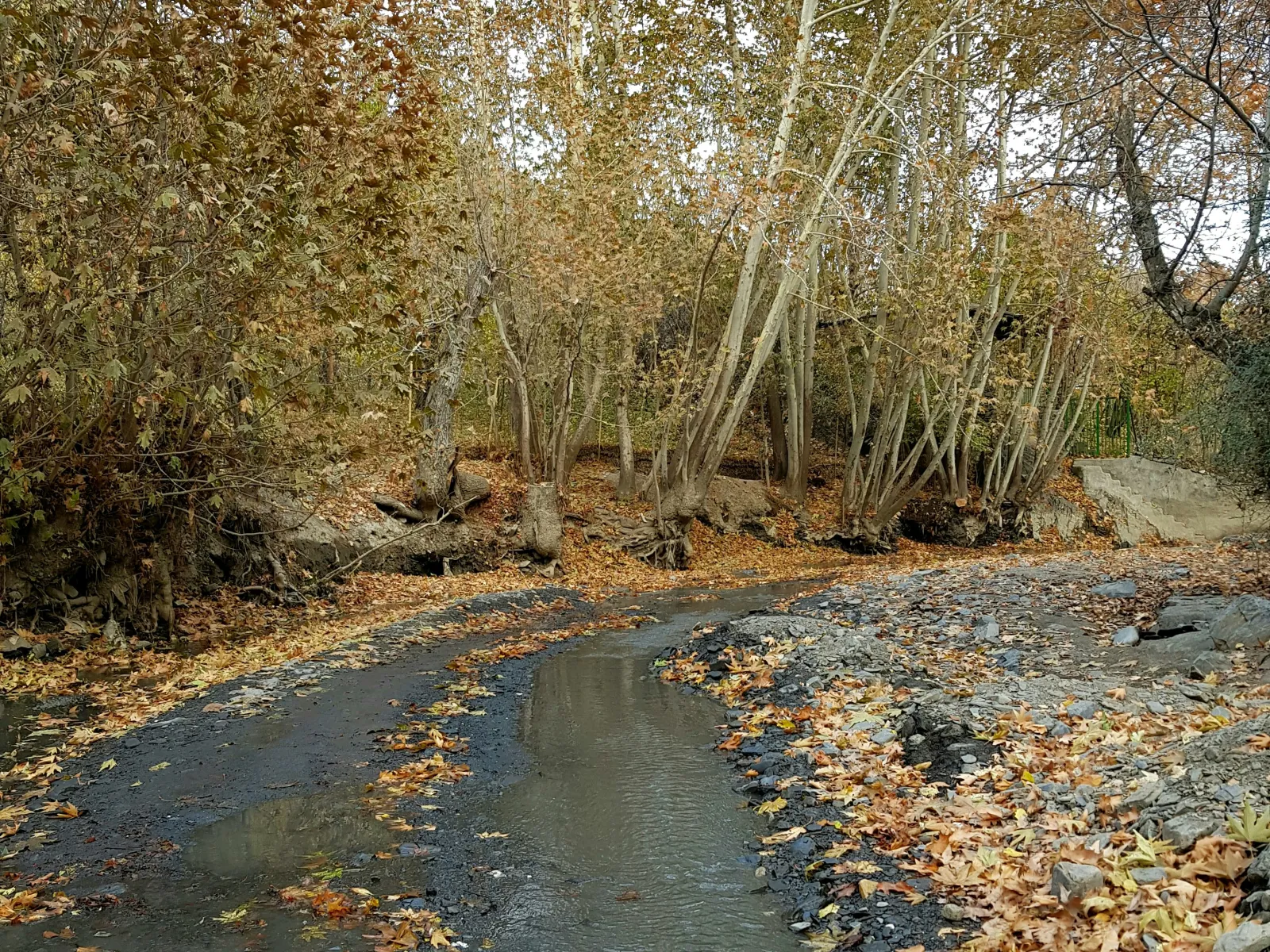 Home Inspectors in Paw Creek, NC, Mecklenburg, 28130 Home Inspections, Certified Home Inspectors, Residential and Commercial Home Inspections in Paw Creek, NC, Mecklenburg, 28130