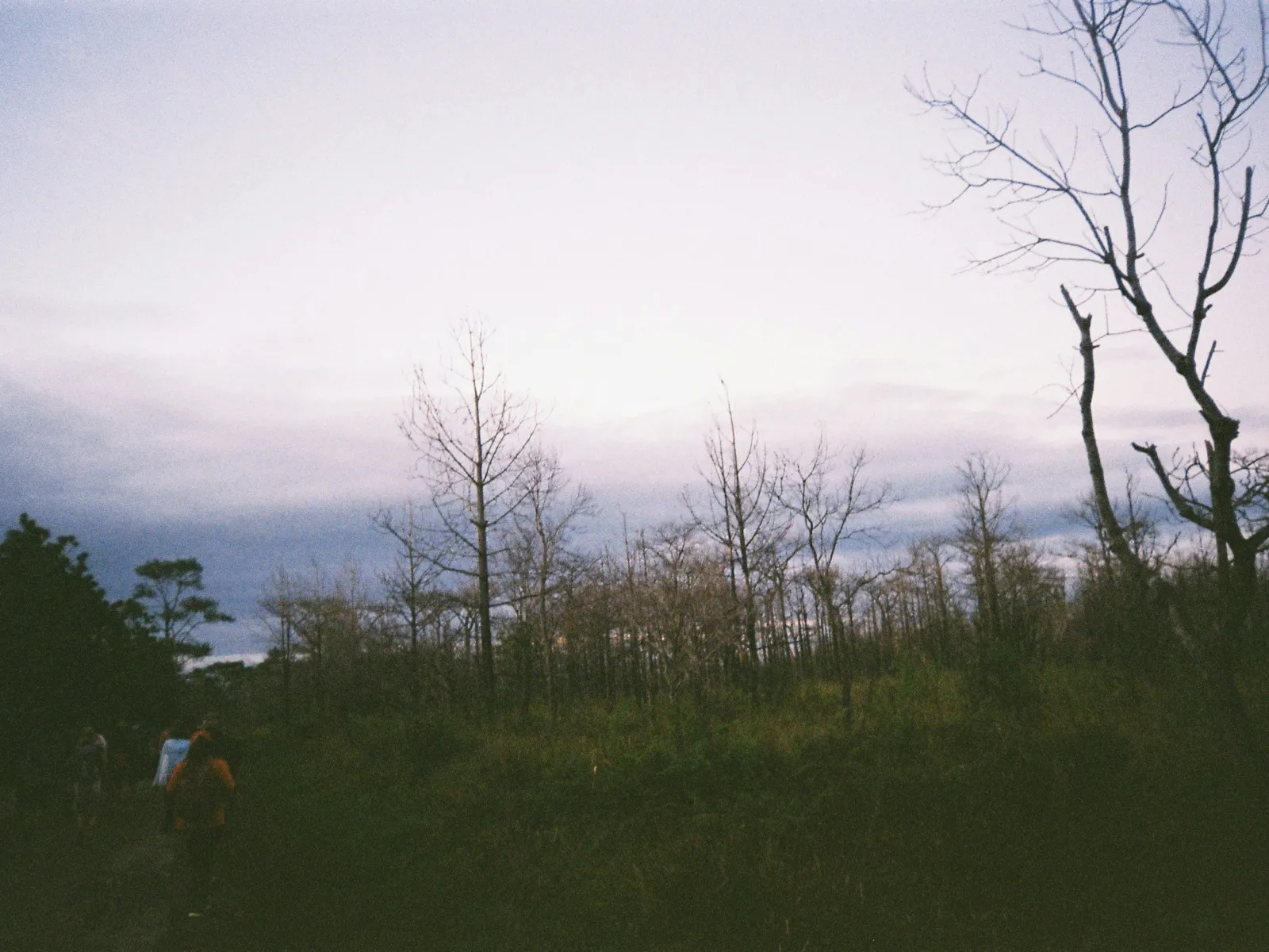 Home Inspectors in East Bend, NC, Yadkin, 27018 Home Inspections, Certified Home Inspectors, Residential and Commercial Home Inspections in East Bend, NC, Yadkin, 27018