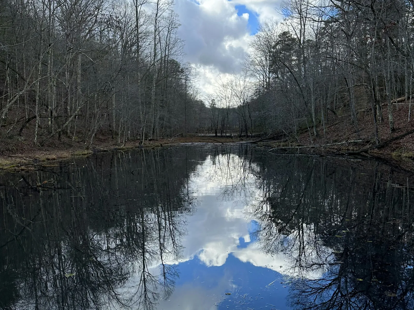 Home Inspectors in Alamance, NC, Alamance County, 27201 Home Inspections, Certified Home Inspectors, Residential and Commercial Home Inspections in Alamance, NC, Alamance County, 27201