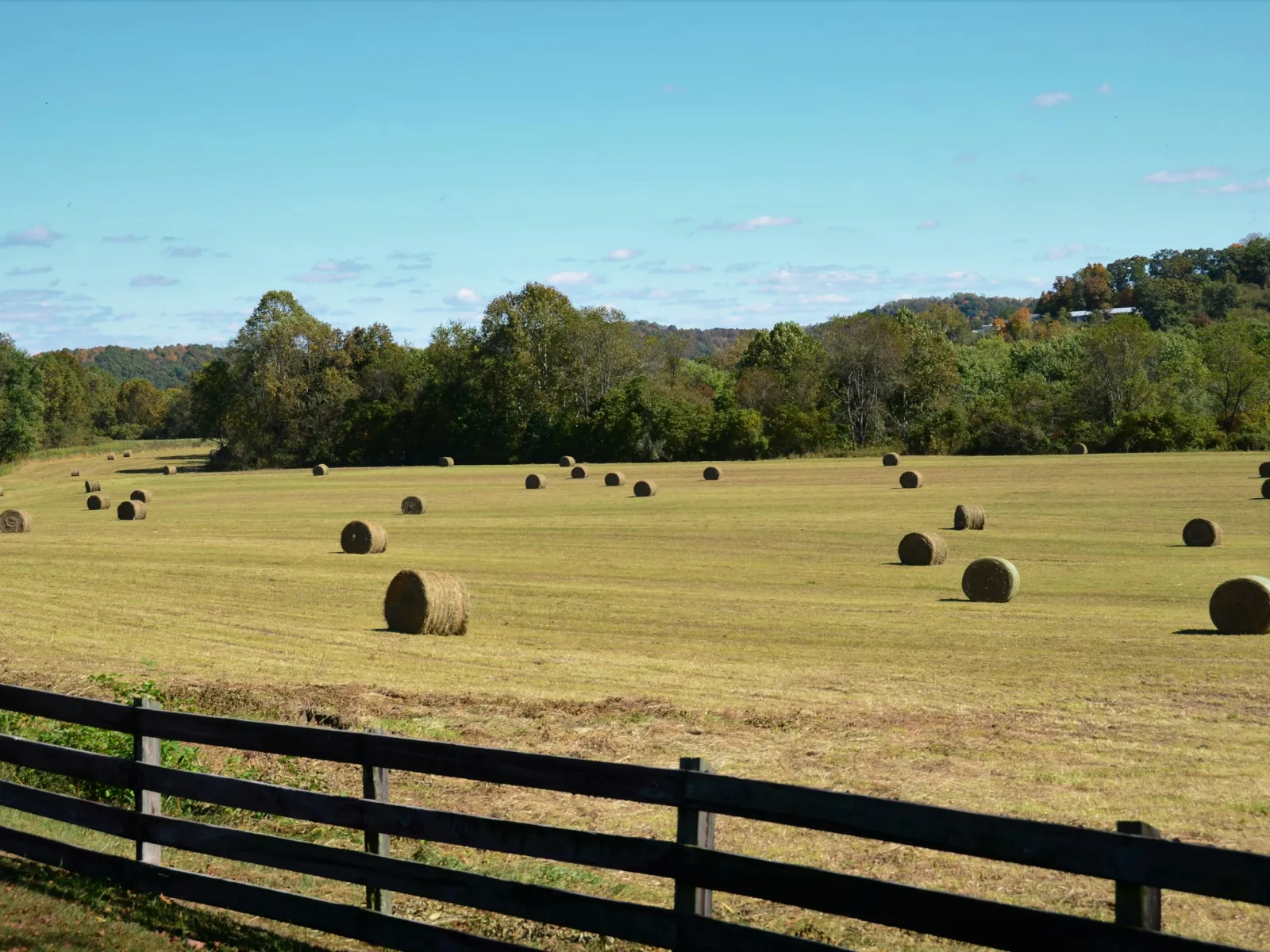 Home Inspectors in Cowpens, SC, Cherokee, 29330 Home Inspections, Certified Home Inspectors, Residential and Commercial Home Inspections in Cowpens, SC, Cherokee, 29330