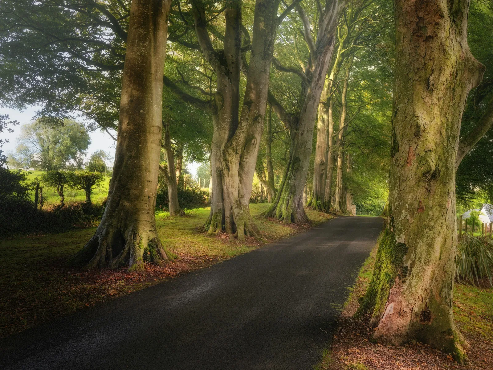 Residential and Commercial Inspection in Tyrone, Tyrone Home Inspections, Tyrone Home Inspector, a home pro inspector in Tyrone, FAA Certified Drone Inspections in Tyrone, Sewer Scope Inspections in Tyrone, FAQs