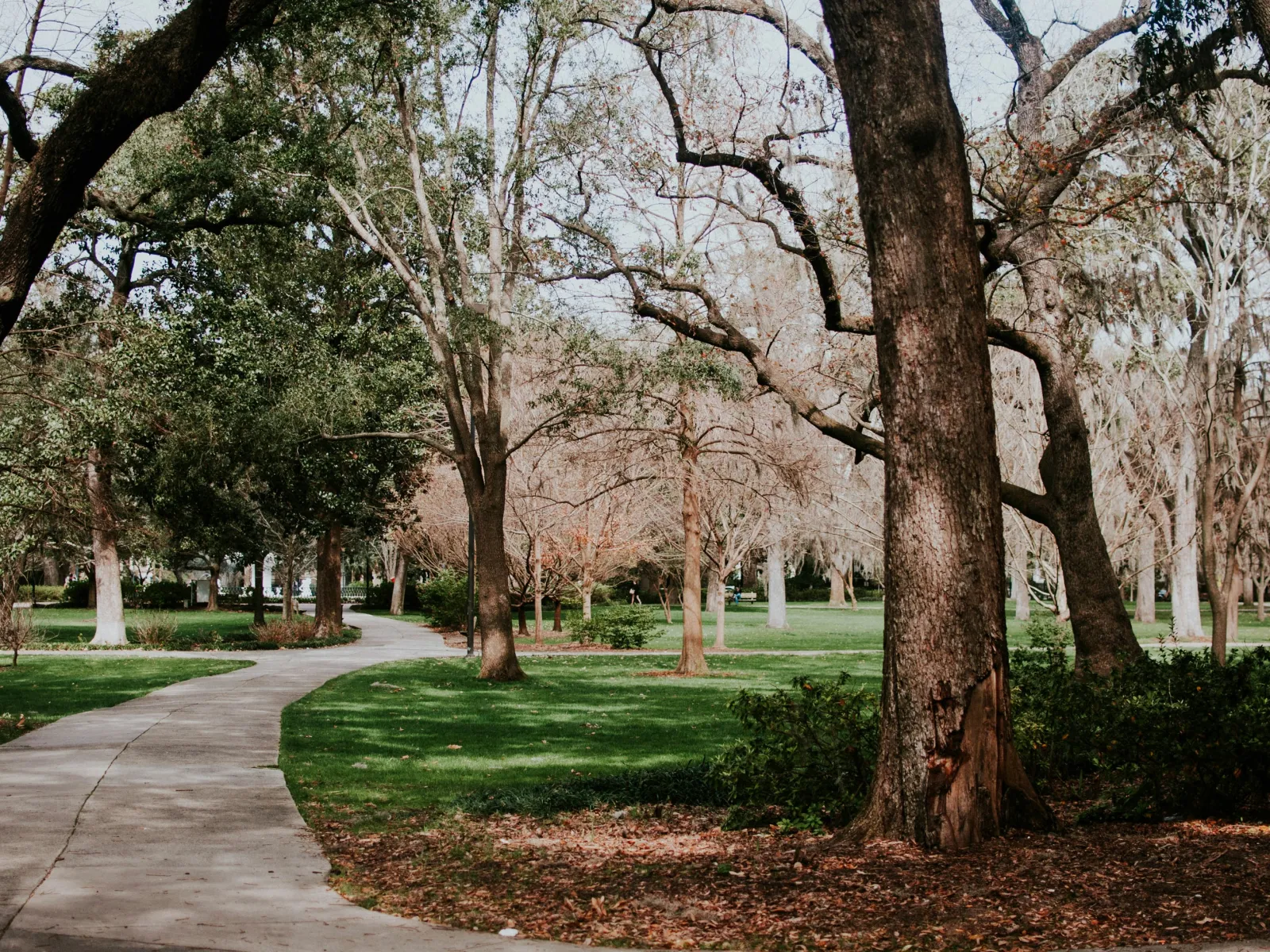 Cumming/Forsyth County