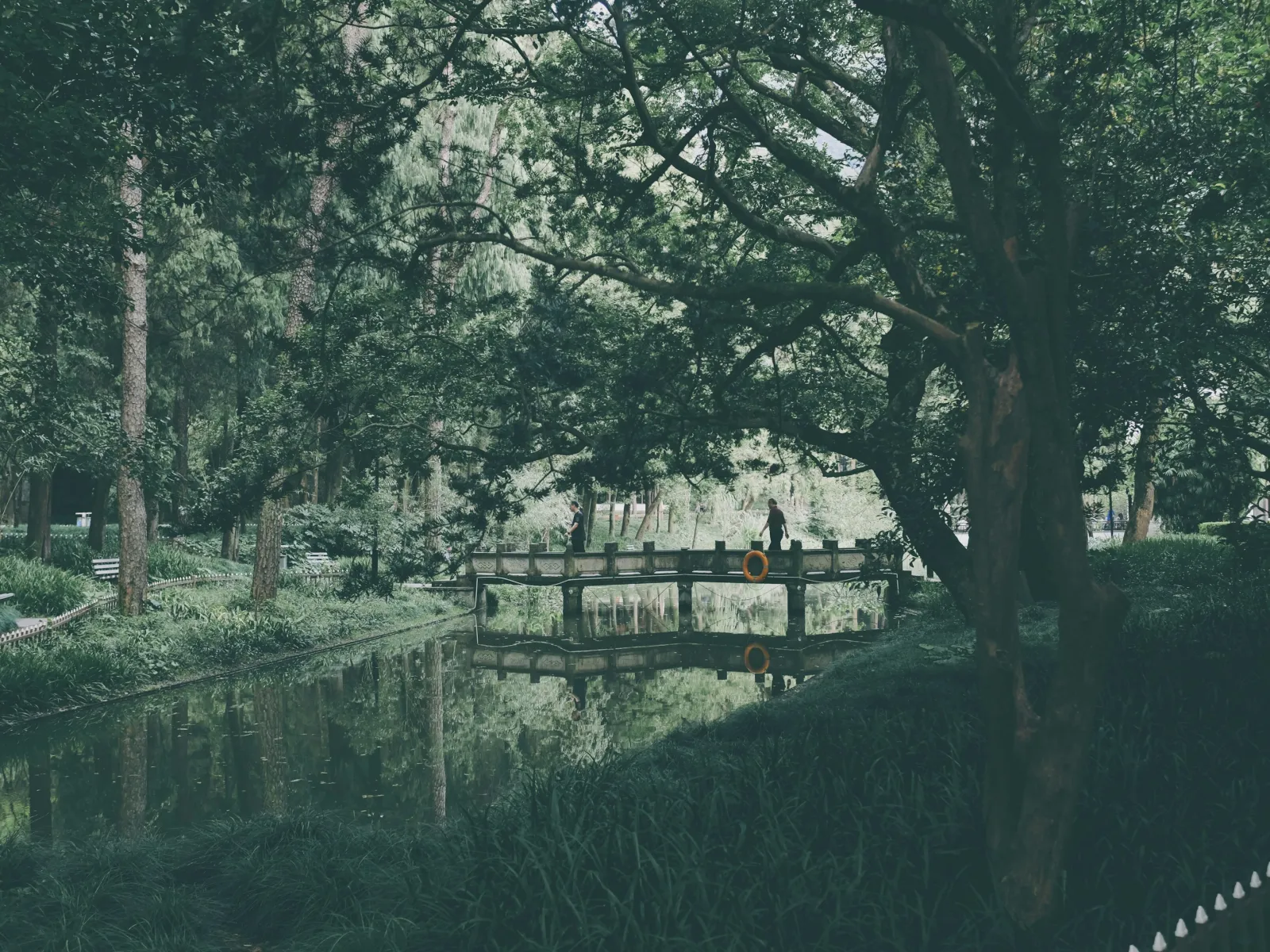 Home Inspectors in Miley, SC, Hampton, 29924 Home Inspections, Certified Home Inspectors, Residential and Commercial Home Inspections in Miley, SC, Hampton, 29924