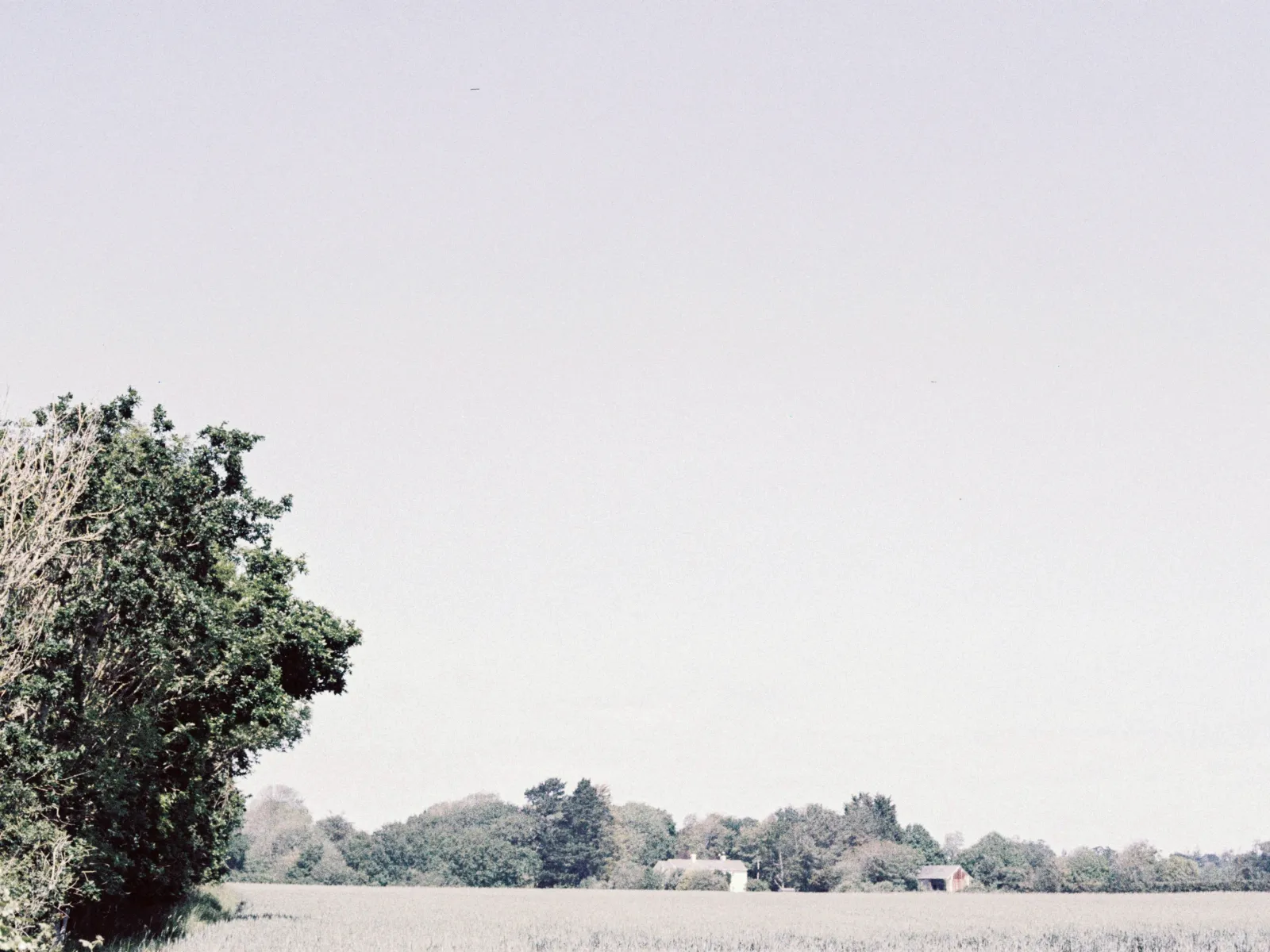 Home Inspectors in Lowry, SC, Chester, 29706 Home Inspections, Certified Home Inspectors, Residential and Commercial Home Inspections in Lowry, SC, Chester, 29706