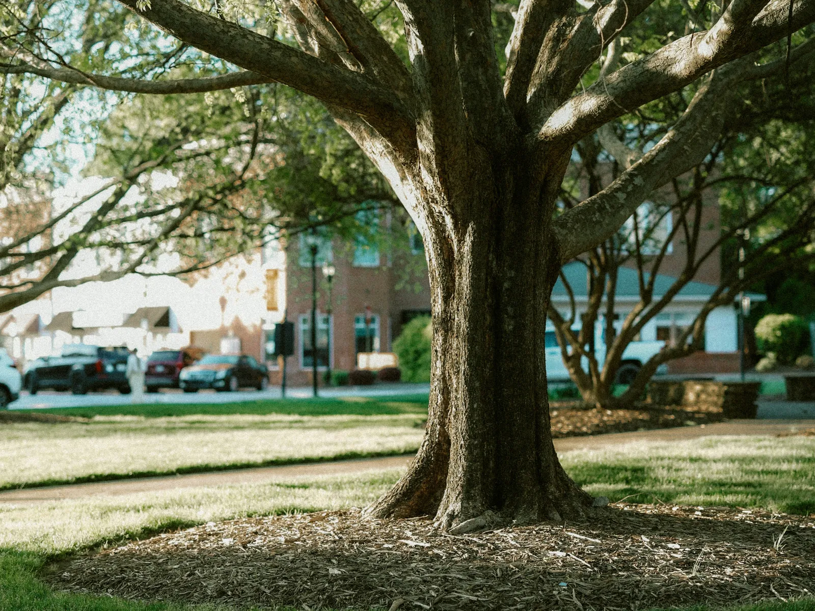 Home Inspectors in Travelers Rest, SC, Greenville, 29690 Home Inspections, Certified Home Inspectors, Residential and Commercial Home Inspections in Travelers Rest, SC, Greenville, 29690