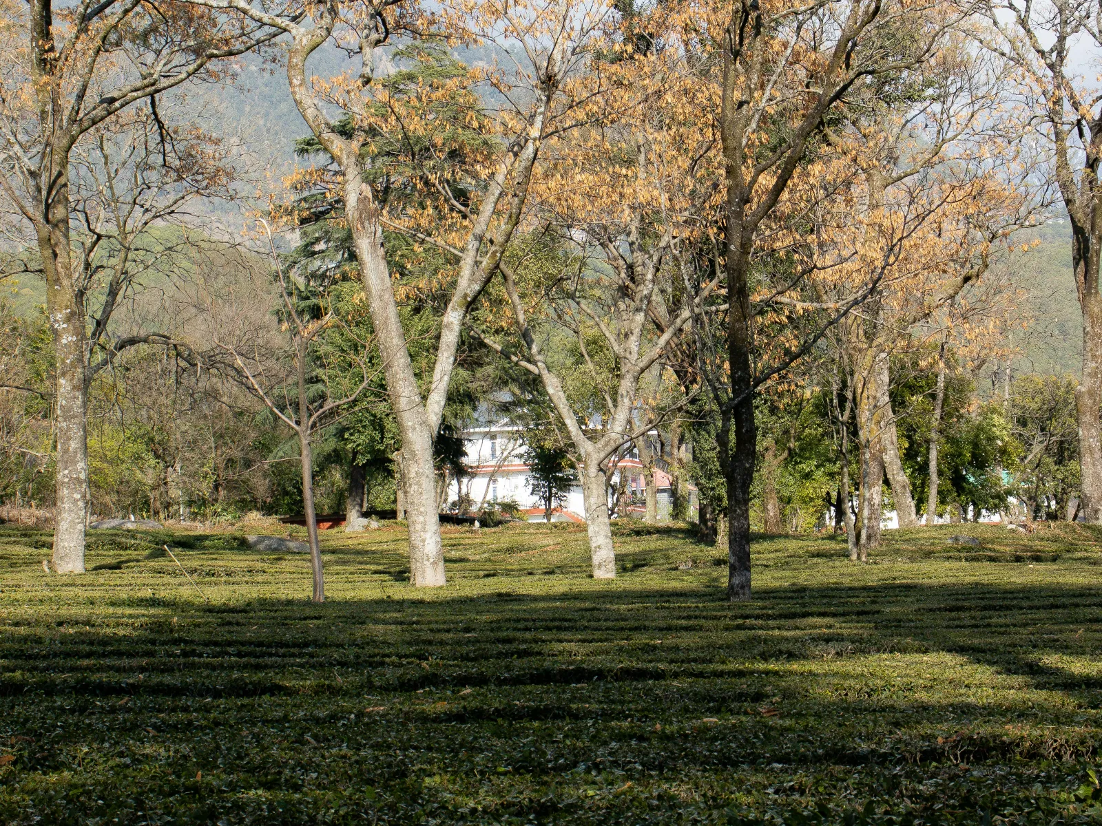 Home Inspectors in Canon, GA, Hart County, 30520 Home Inspections, Certified Home Inspectors, Residential and Commercial Home Inspections in Canon, GA, Hart County, 30520