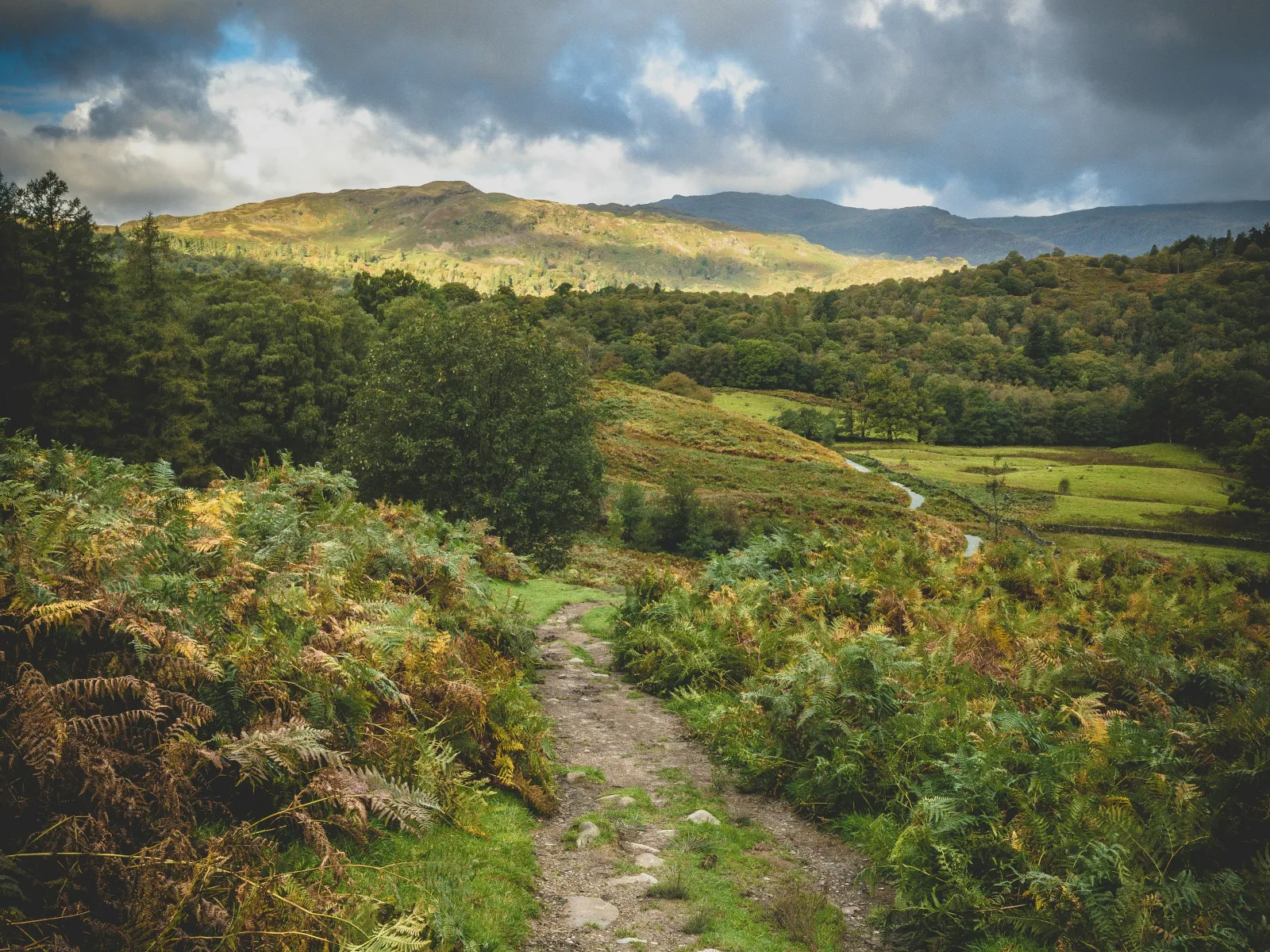 Residential and Commercial Inspection in Rydal, Rydal Home Inspections, Rydal Home Inspector, a home pro inspector in Rydal, FAA Certified Drone Inspections in Rydal, Sewer Scope Inspections in Rydal, FAQs