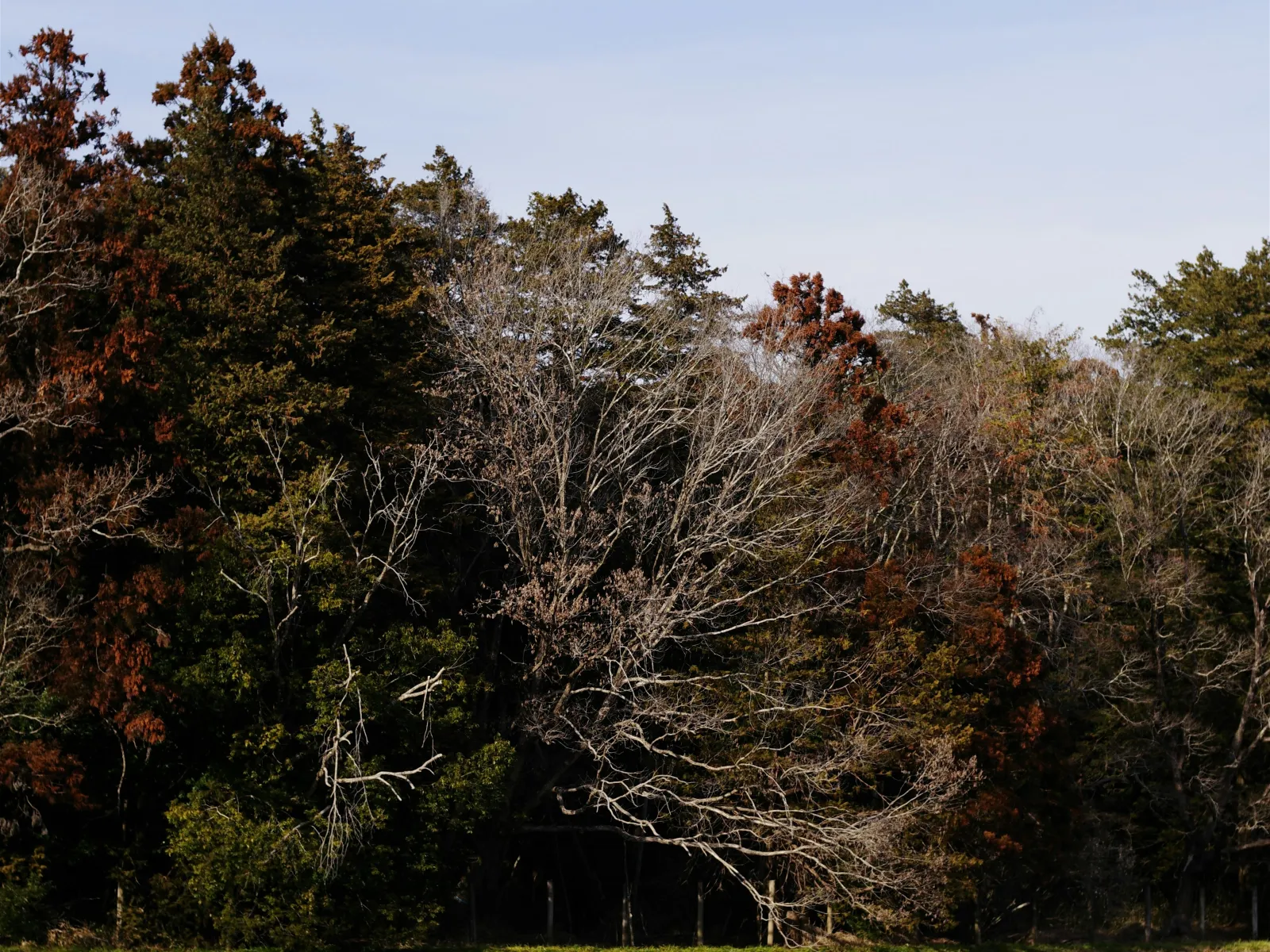 Home Inspectors in Cleland Crosslands, SC, Hampton, 29911 Home Inspections, Certified Home Inspectors, Residential and Commercial Home Inspections in Cleland Crosslands, SC, Hampton, 29911