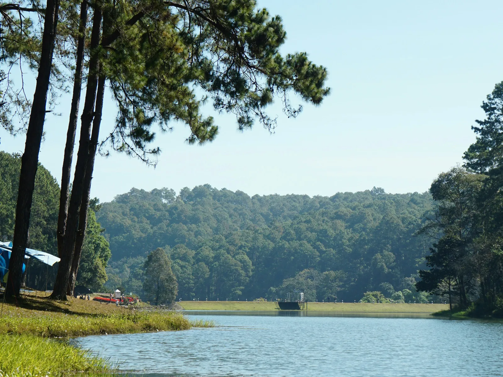 Home Inspectors in Pineland, SC, Jasper, 29934 Home Inspections, Certified Home Inspectors, Residential and Commercial Home Inspections in Pineland, SC, Jasper, 29934