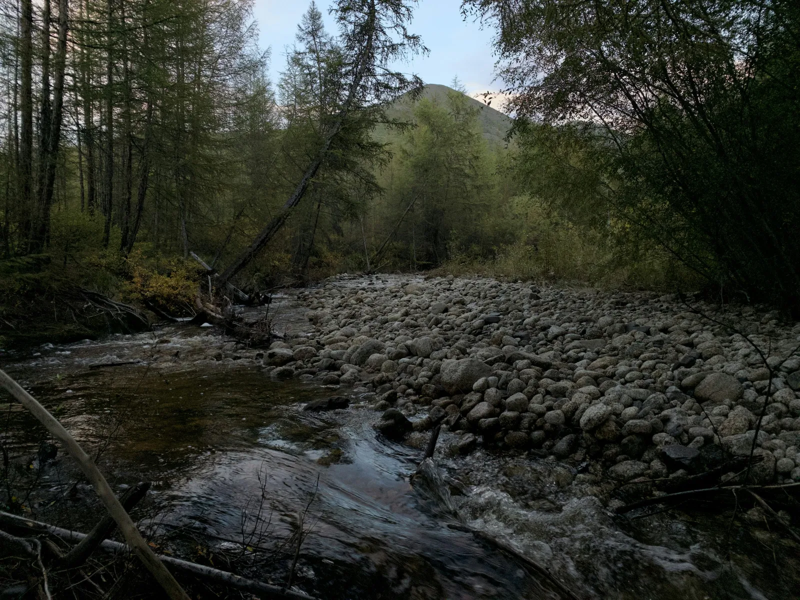 Home Inspectors in Bear Creek, NC, Chatham County, 27207 Home Inspections, Certified Home Inspectors, Residential and Commercial Home Inspections in Bear Creek, NC, Chatham County, 27207