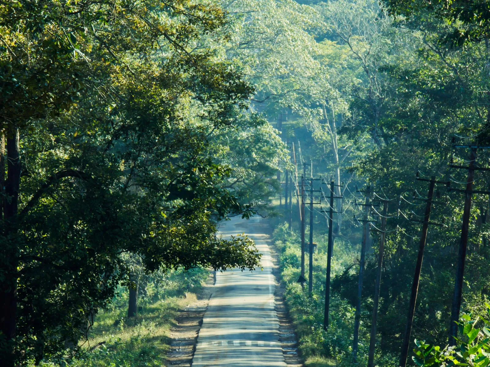 Home Inspectors in Linwood, NC, Davidson, 27299 Home Inspections, Certified Home Inspectors, Residential and Commercial Home Inspections in Linwood, NC, Davidson, 27299