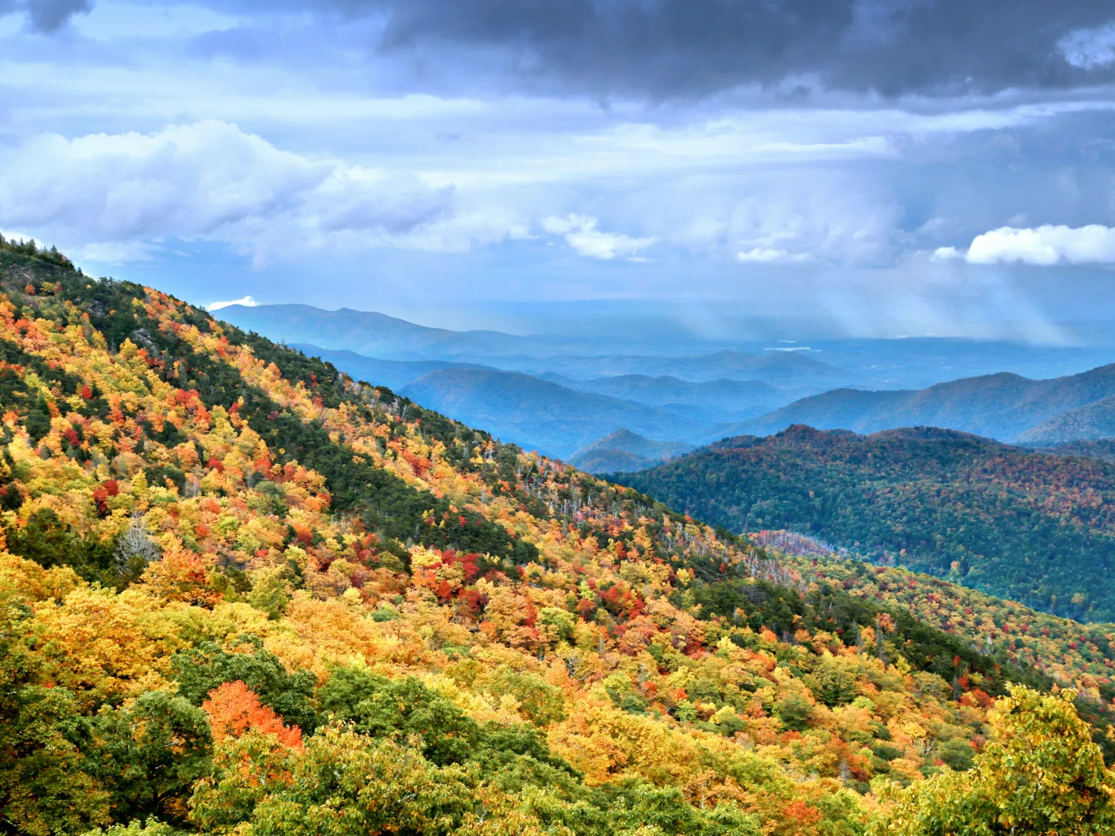 Home Inspectors in Albemarle, NC, Stanly, 28001, 28002 Home Inspections, Certified Home Inspectors, Residential and Commercial Home Inspections in Albemarle, NC, Stanly, 28001, 28002