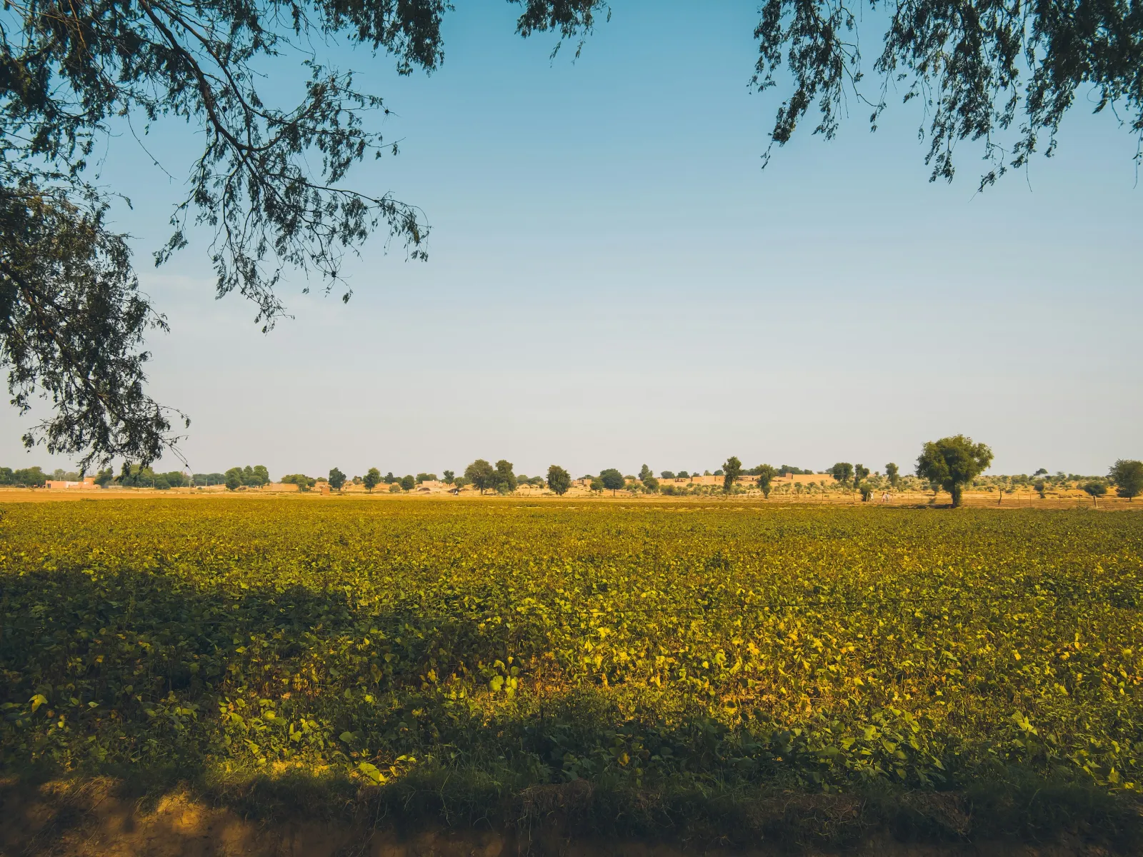 Residential and Commercial Inspection in Redan, Redan Home Inspections, Redan Home Inspector, a home pro inspector in Redan, FAA Certified Drone Inspections in Redan, Sewer Scope Inspections in Redan, FAQs