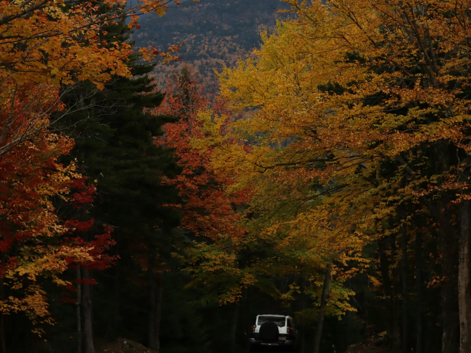 Residential and Commercial Inspection in Sargent, Sargent Home Inspections, Sargent Home Inspector, a home pro inspector in Sargent, FAA Certified Drone Inspections in Sargent, Sewer Scope Inspections in Sargent, FAQs