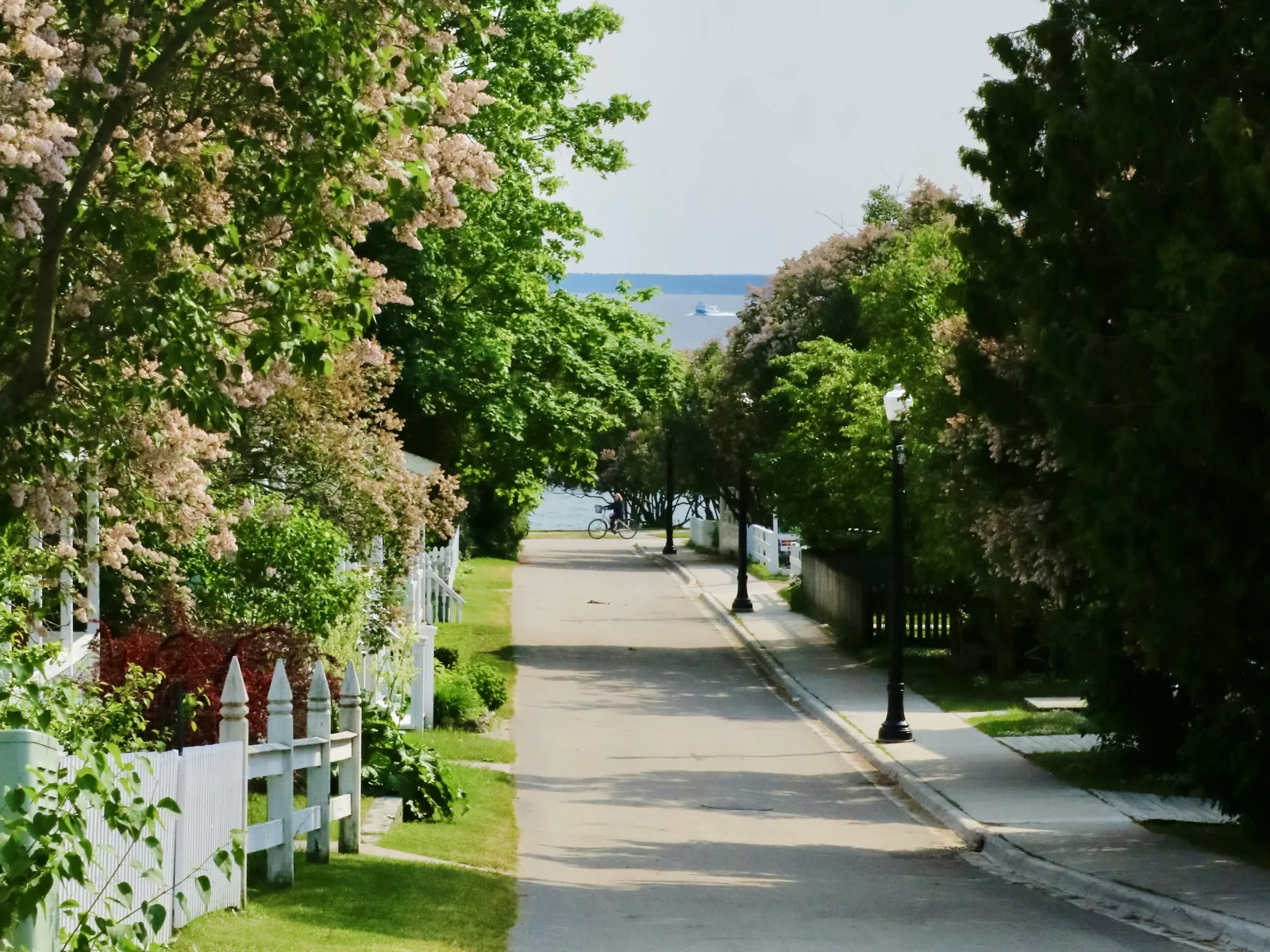 Home Inspectors in Cottageville, SC, Colleton, 29435 Home Inspections, Certified Home Inspectors, Residential and Commercial Home Inspections in Cottageville, SC, Colleton, 29435