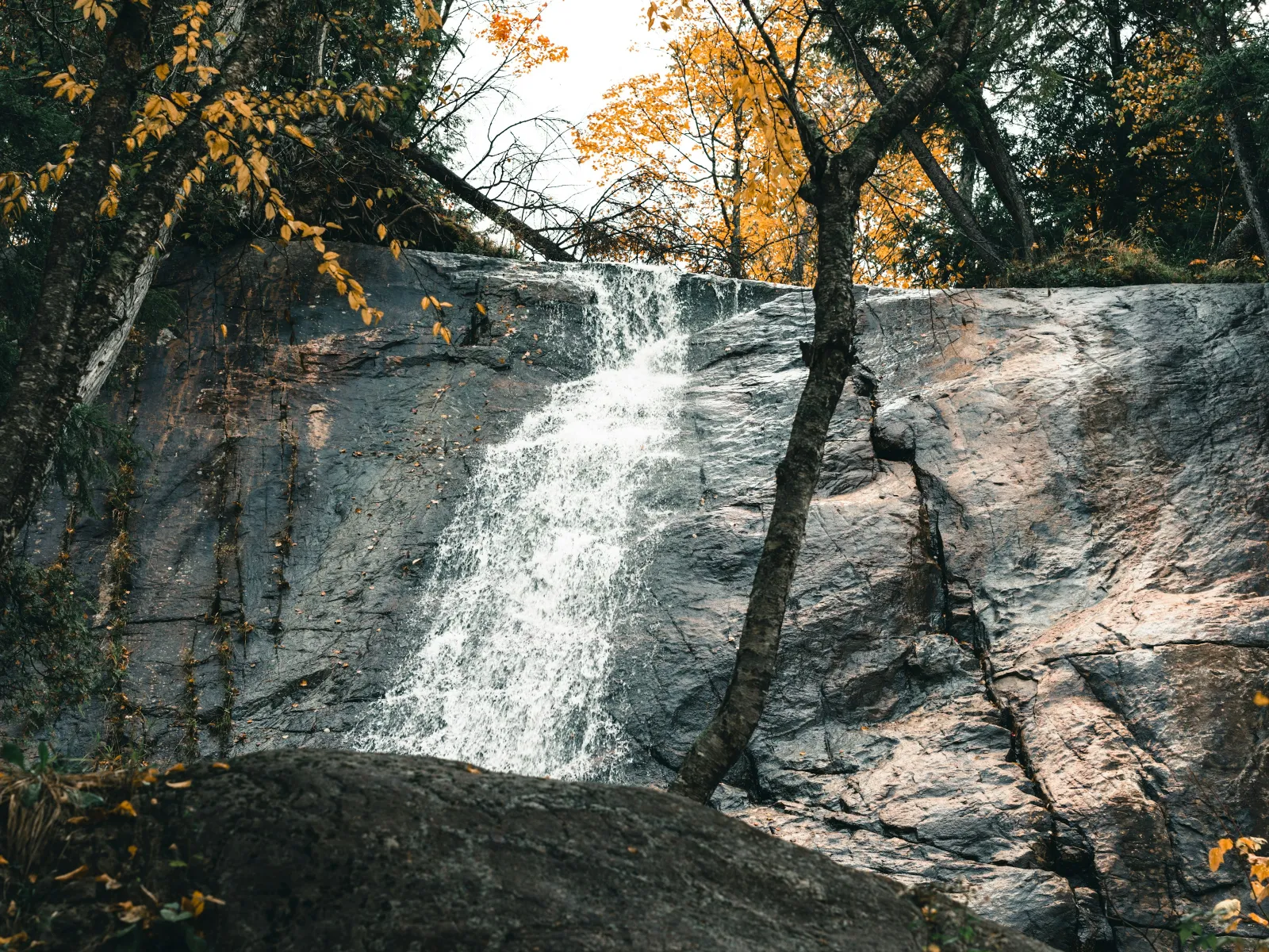 Home Inspectors in Great Falls, SC, Chester, 29055 Home Inspections, Certified Home Inspectors, Residential and Commercial Home Inspections in Great Falls, SC, Chester, 29055