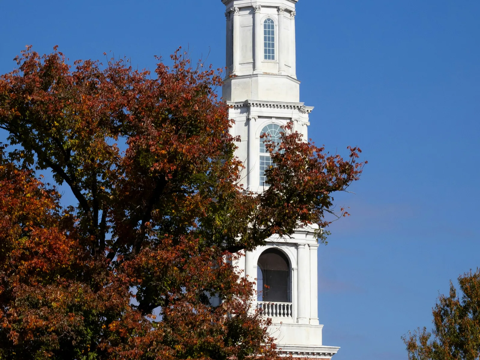 Home Inspectors in Westminster, SC, Oconee, 29693 Home Inspections, Certified Home Inspectors, Residential and Commercial Home Inspections in Westminster, SC, Oconee, 29693