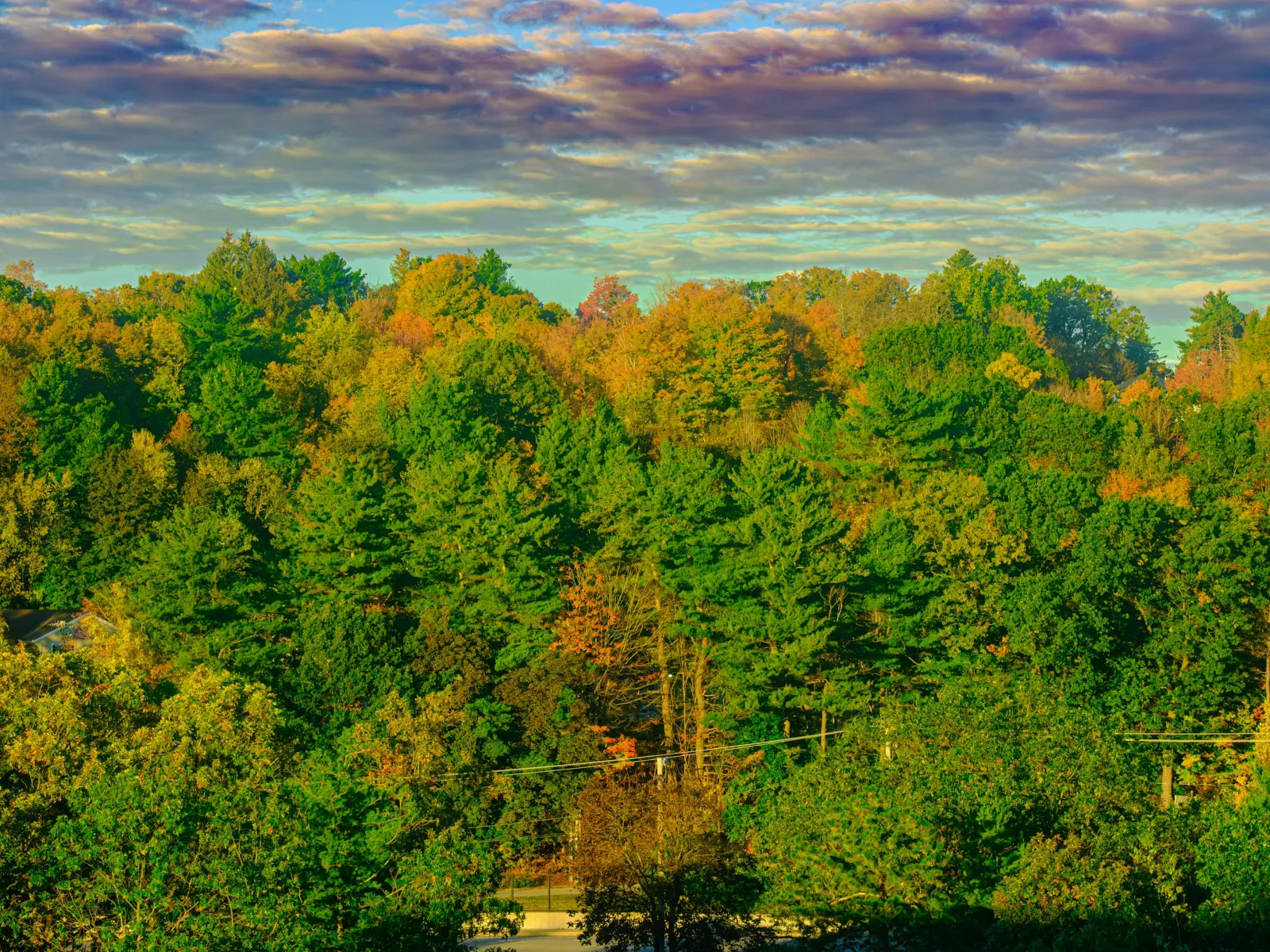 Home Inspectors in Woodleaf, NC, Rowan, 27054 Home Inspections, Certified Home Inspectors, Residential and Commercial Home Inspections in Woodleaf, NC, Rowan, 27054