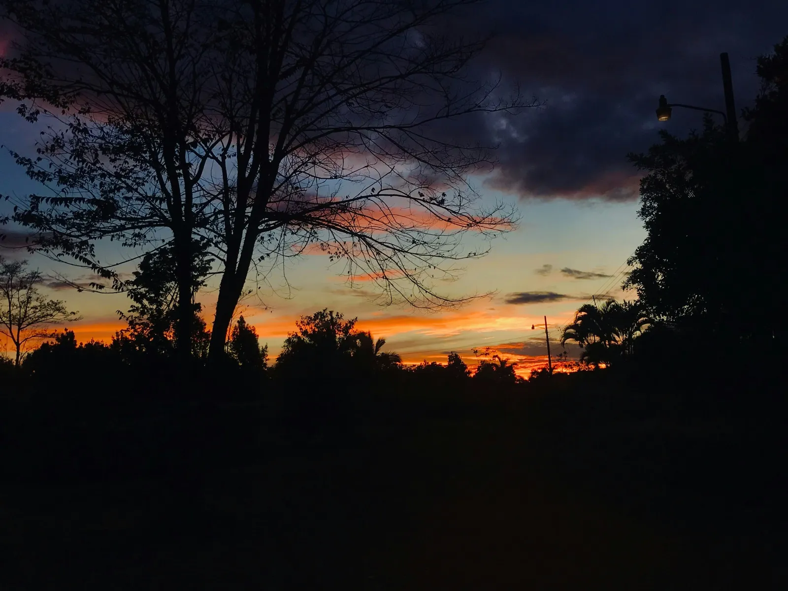 Home Inspectors in Rochelle, GA, Wilcox County, 31079 Home Inspections, Certified Home Inspectors, Residential and Commercial Home Inspections in Rochelle, GA, Wilcox County, 31079