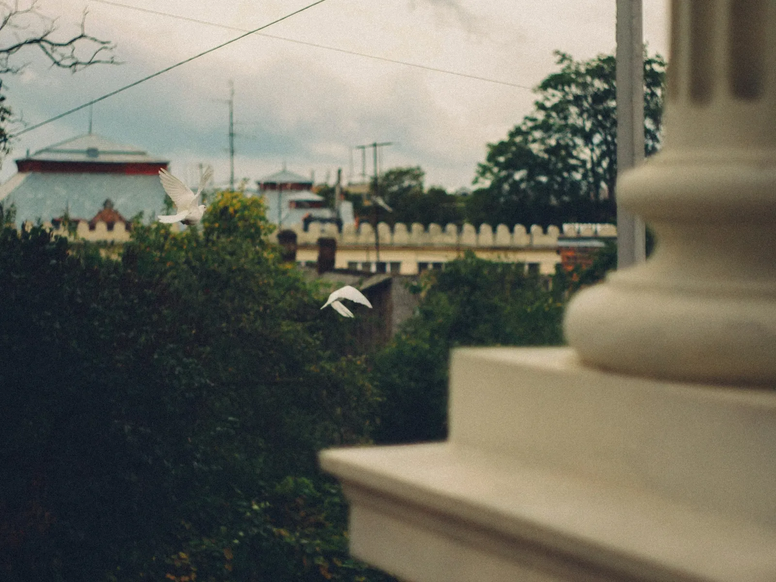 Home Inspectors in Clyo, Clyo Home Inspections, Certified Home Inspectors, Residential and Commercial Home Inspections in Clyo, Effingham, 31303