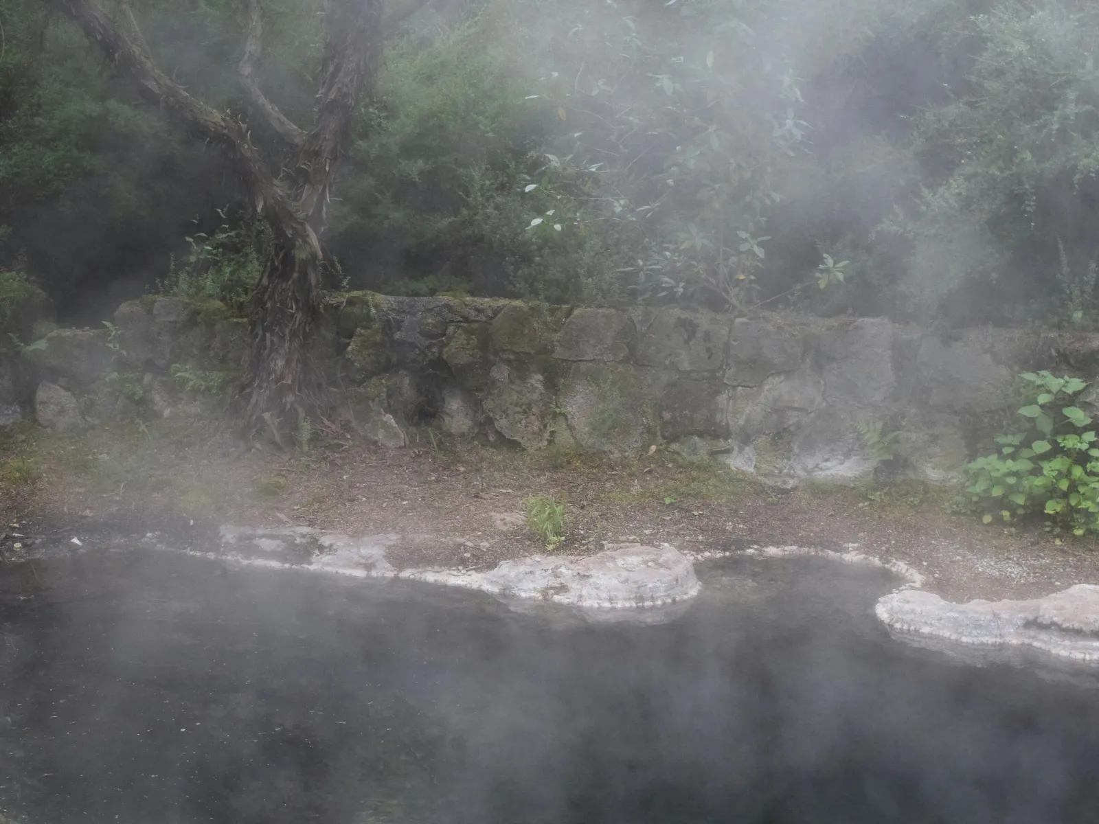 Home Inspectors in Boiling Springs, SC, Spartanburg, 29316 Home Inspections, Certified Home Inspectors, Residential and Commercial Home Inspections in Boiling Springs, SC, Spartanburg, 29316