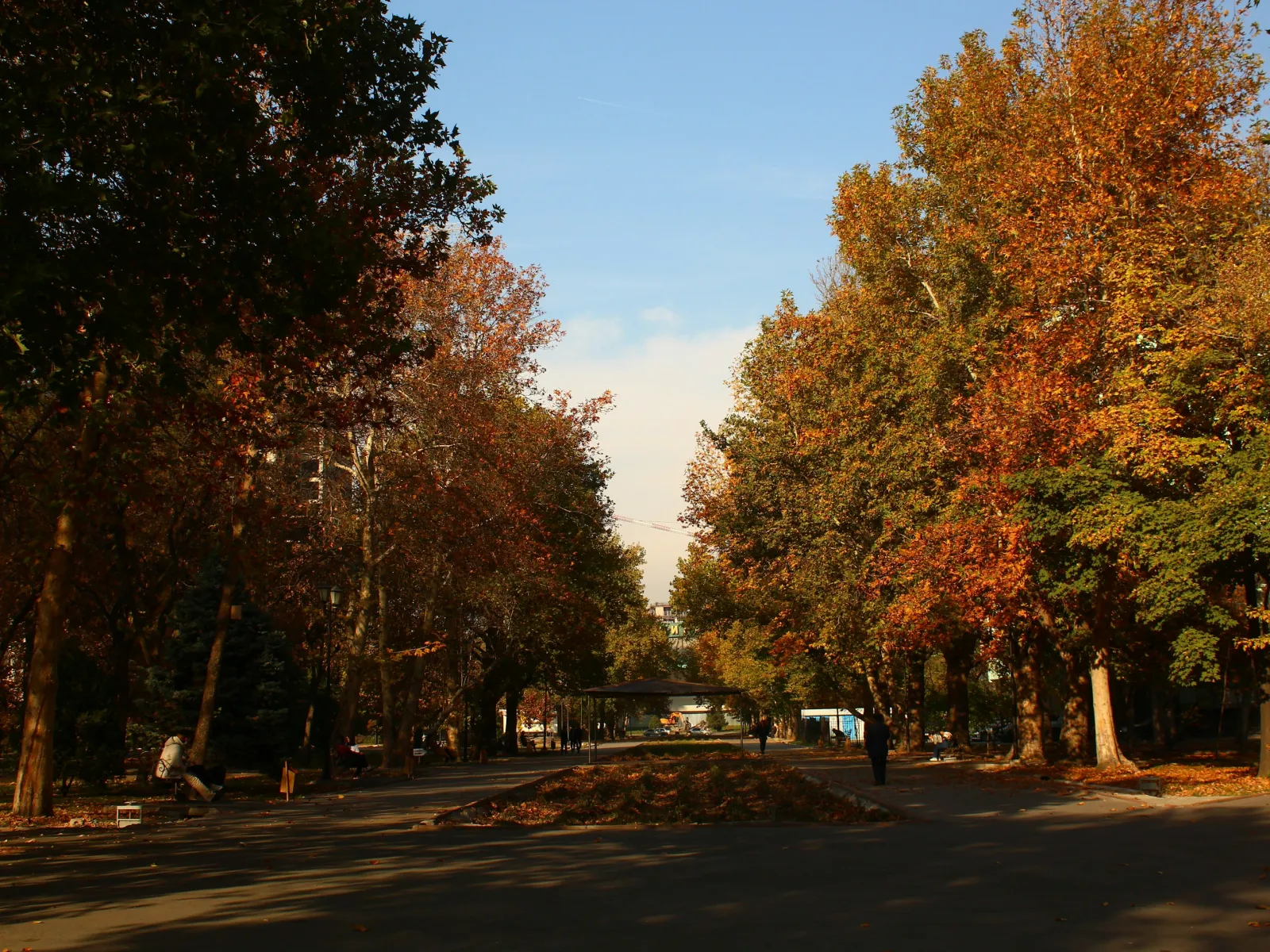 Home Inspectors in Rougemont, NC, Durham, 27572 Home Inspections, Certified Home Inspectors, Residential and Commercial Home Inspections in Rougemont, NC, Durham, 27572