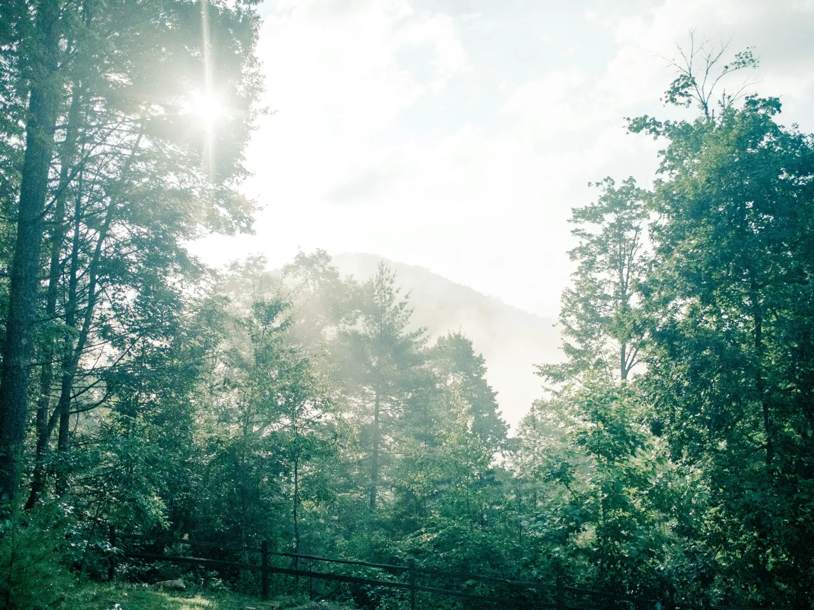 Home Inspectors in Cherry Log, GA, Gilmer County, 30522 Home Inspections, Certified Home Inspectors, Residential and Commercial Home Inspections in Cherry Log, GA, Gilmer County, 30522