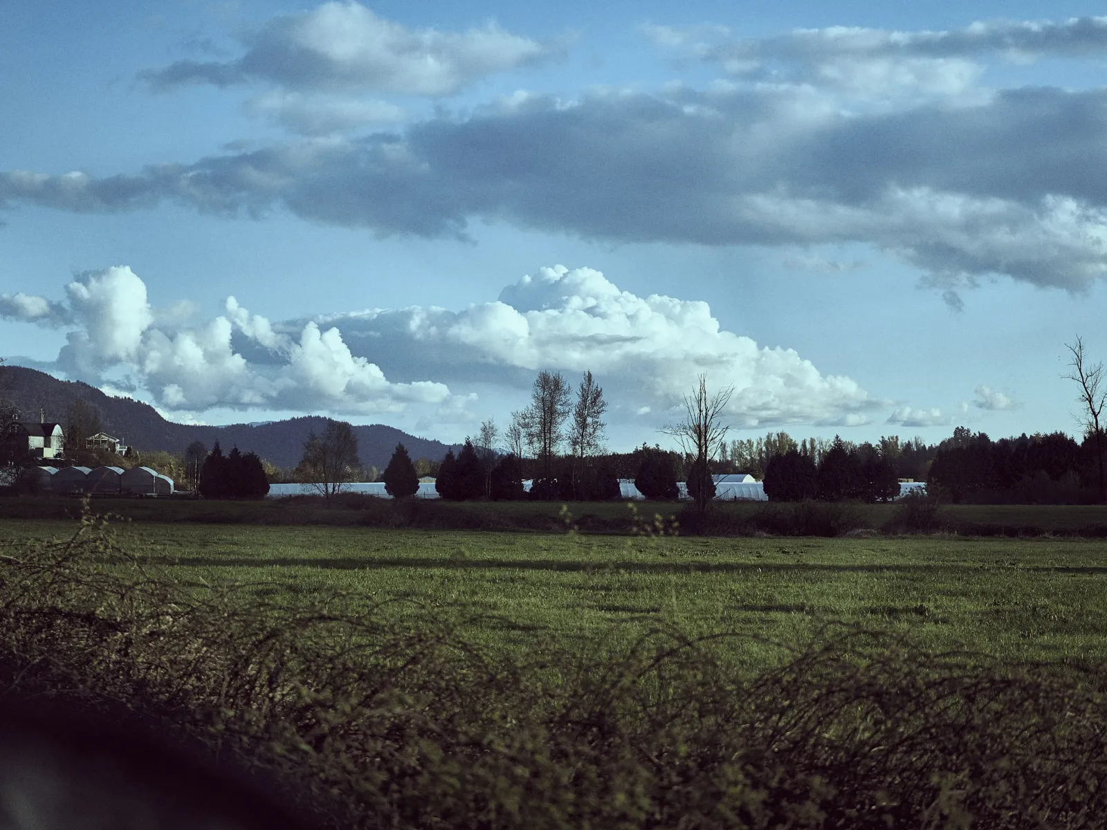 Home Inspectors in Gifford, SC, Hampton, 29923 Home Inspections, Certified Home Inspectors, Residential and Commercial Home Inspections in Gifford, SC, Hampton, 29923