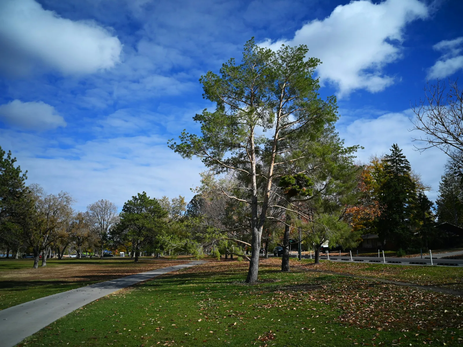 Home Inspectors in East Point, Georgia, Fulton County, 30364 Home Inspections, Certified Home Inspectors, Residential and Commercial Home Inspections in East Point, Georgia, Fulton County, 30364