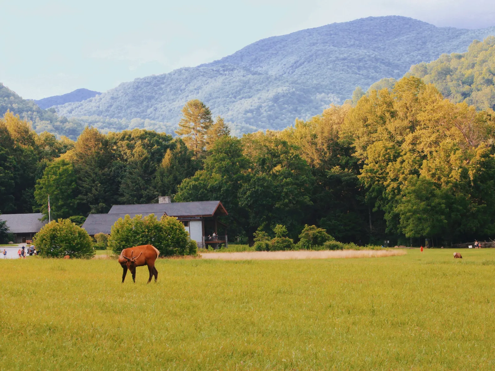 Home Inspectors in Marble, NC, Cherokee County, 28905 Home Inspections, Certified Home Inspectors, Residential and Commercial Home Inspections in Marble, NC, Cherokee County, 28905
