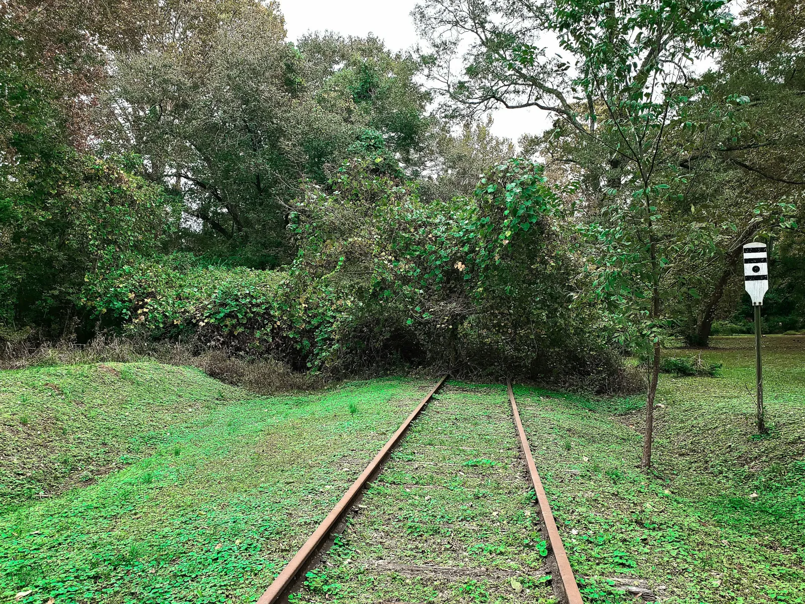 Residential and Commercial Inspection in Senoia, Senoia Home Inspections, Senoia Home Inspector, a home pro inspector in Senoia, FAA Certified Drone Inspections in Senoia, Sewer Scope Inspections in Senoia, FAQs