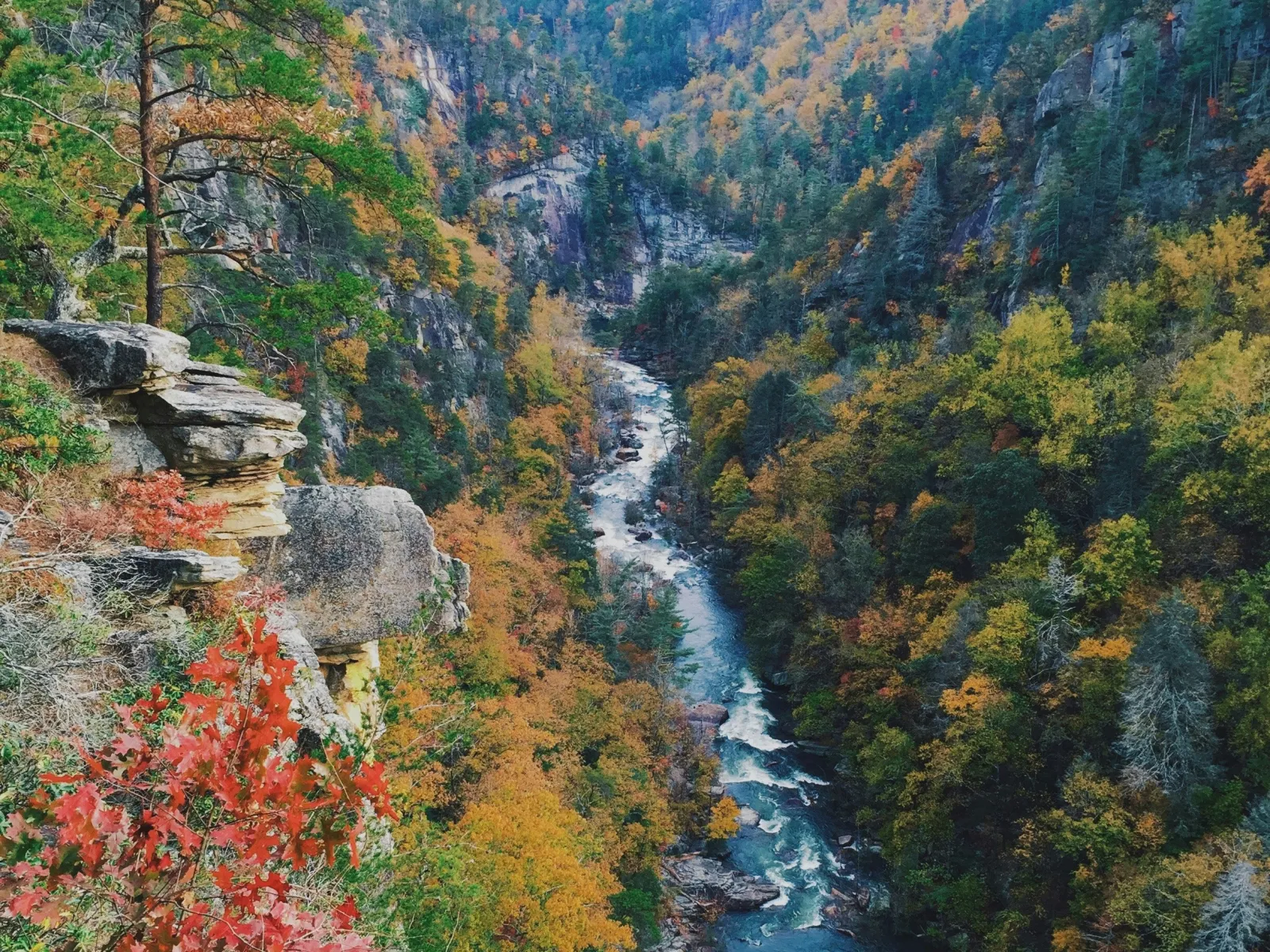 Home Inspectors in Calhoun, Tennessee, McMinn County, 37309 Home Inspections, Certified Home Inspectors, Residential and Commercial Home Inspections in Calhoun, Tennessee, McMinn County, 37309