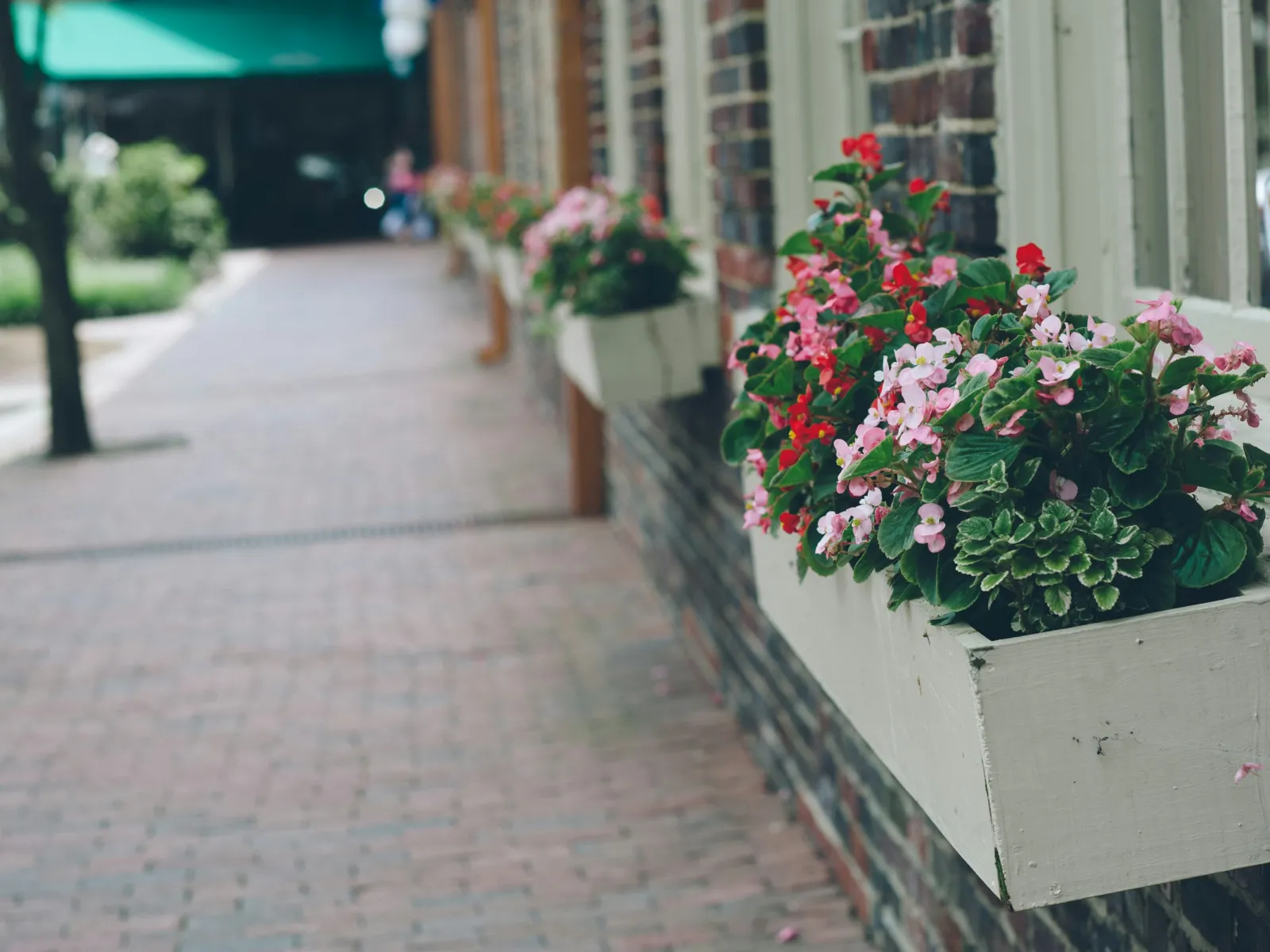 Home Inspectors in Carrboro, NC, Orange County, 27510 Home Inspections, Certified Home Inspectors, Residential and Commercial Home Inspections in Carrboro, NC, Orange County, 27510