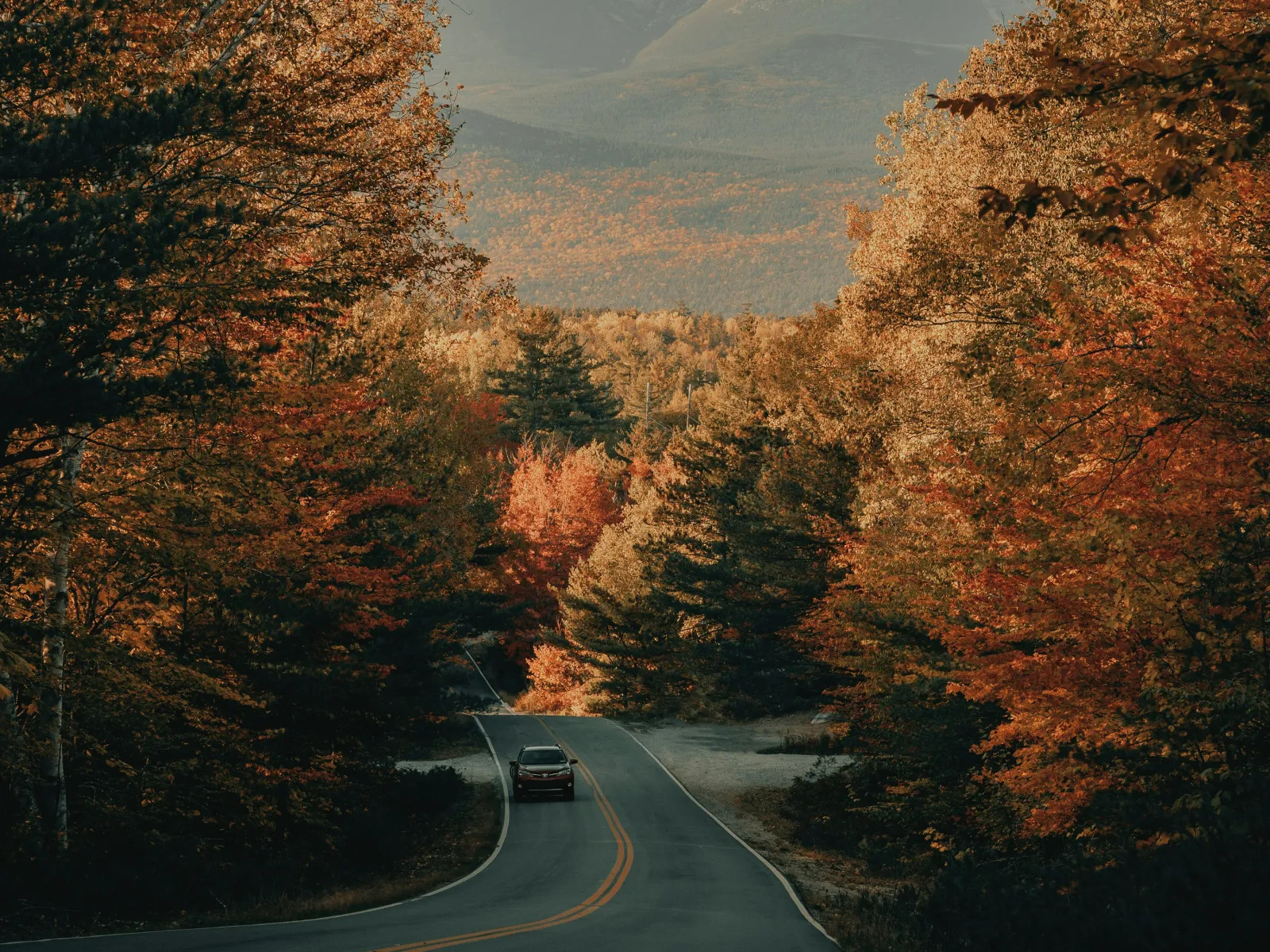 Home Inspectors in Conasauga, Tennessee, Polk County, 37316 Home Inspections, Certified Home Inspectors, Residential and Commercial Home Inspections in Conasauga, Tennessee, Polk County, 37316