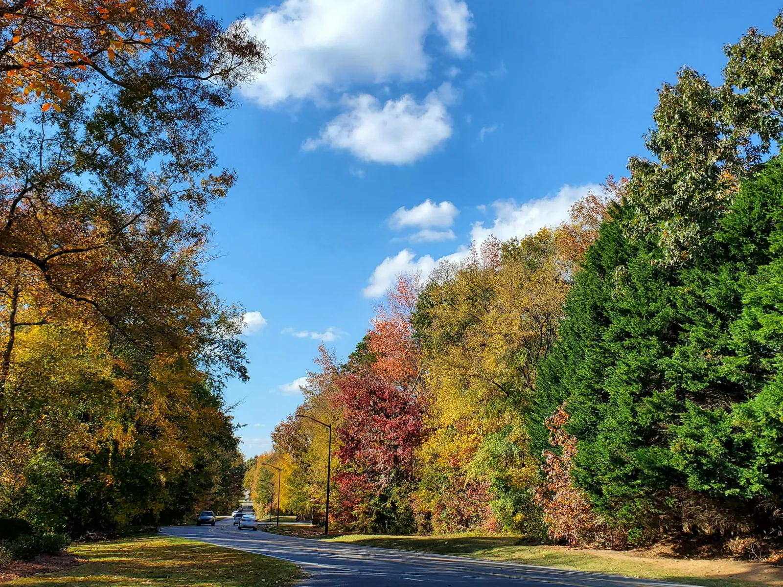 Home Inspectors in Lattimore, NC, Cleveland, 28089 Home Inspections, Certified Home Inspectors, Residential and Commercial Home Inspections in Lattimore, NC, Cleveland, 28089